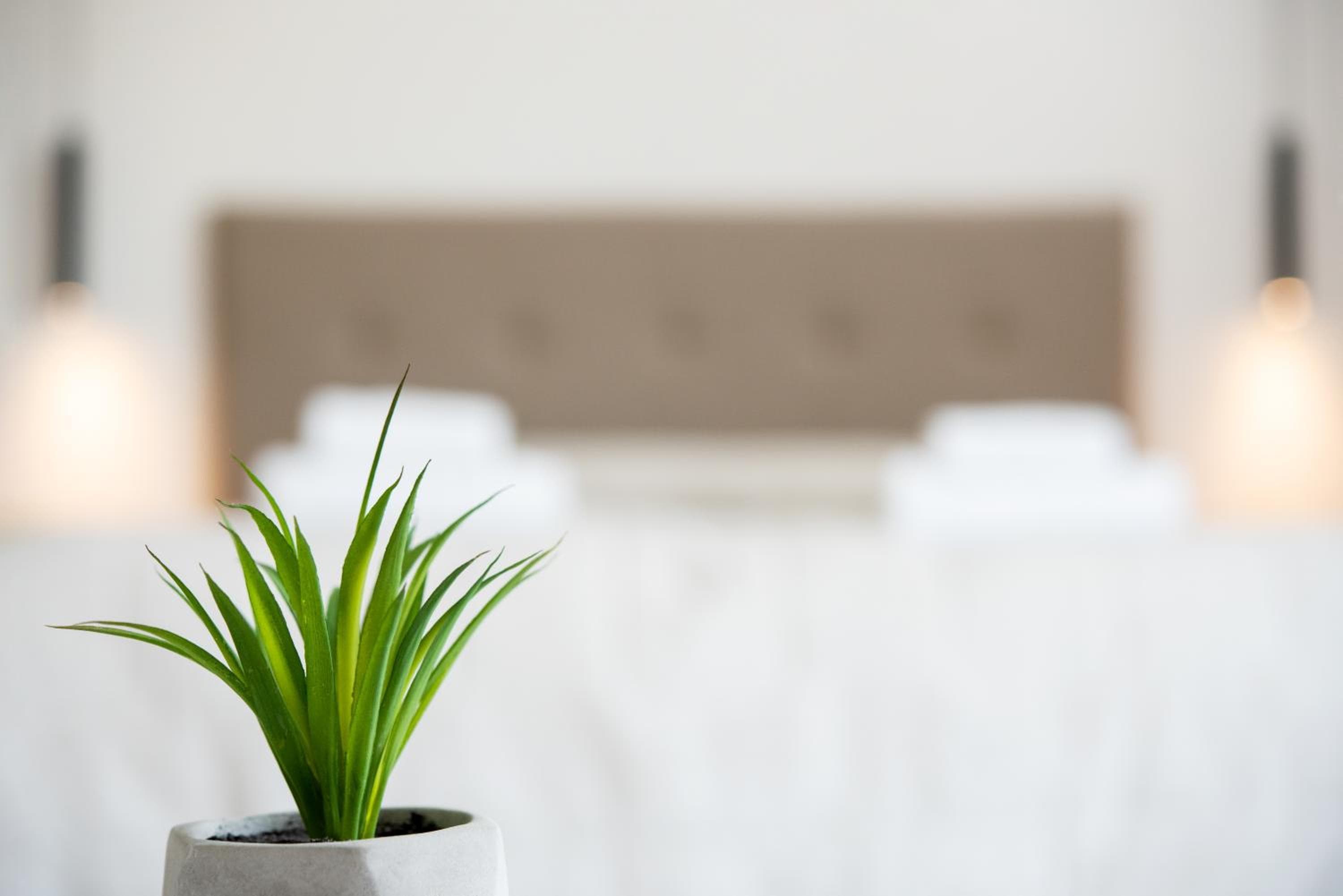 Terinikos Sunny Garden Hotel & Junior Suites, Ialyssos, photo 4
