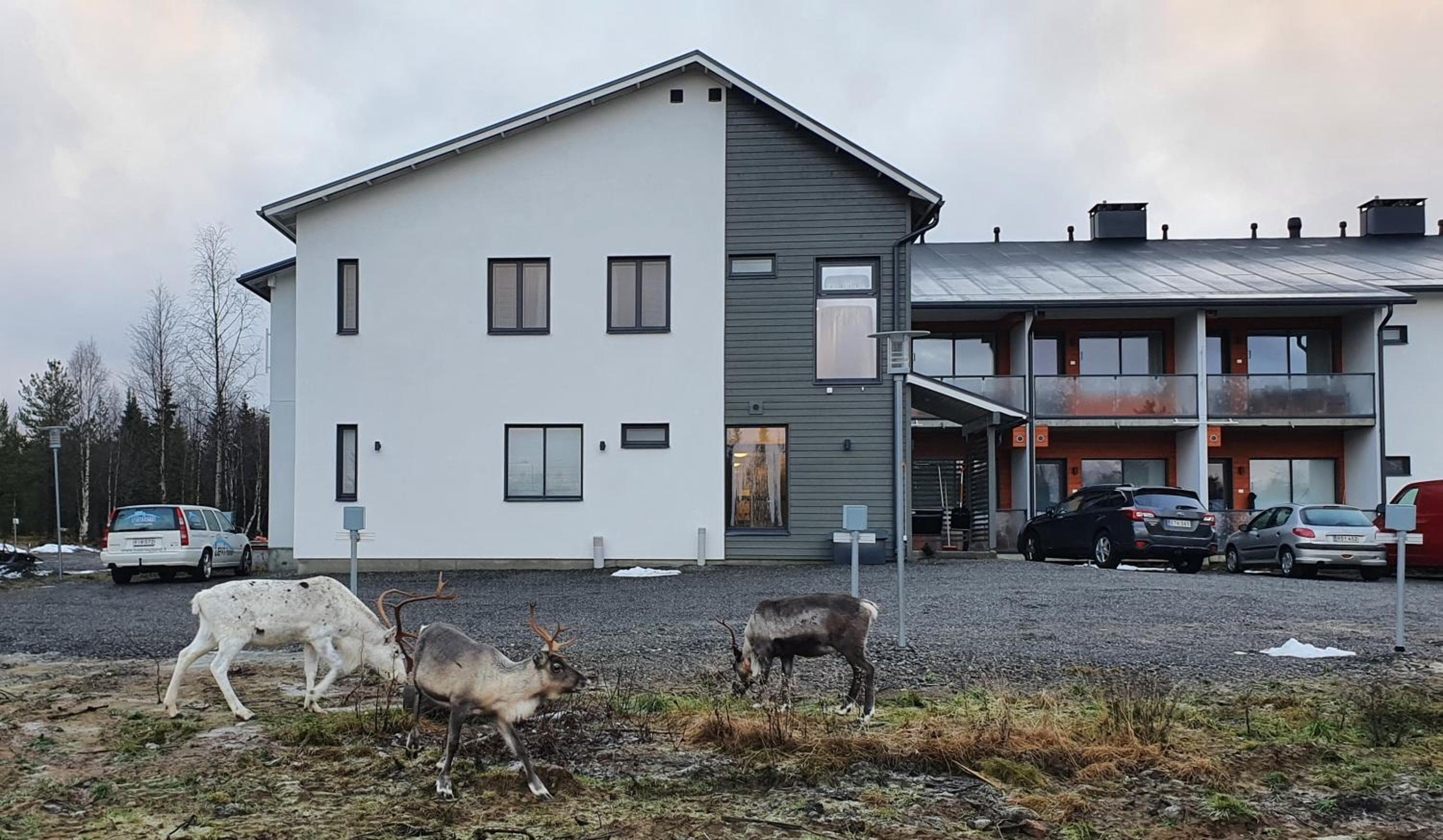 Hotel Lost In Ylläs, Äkäslompolo, photo 5