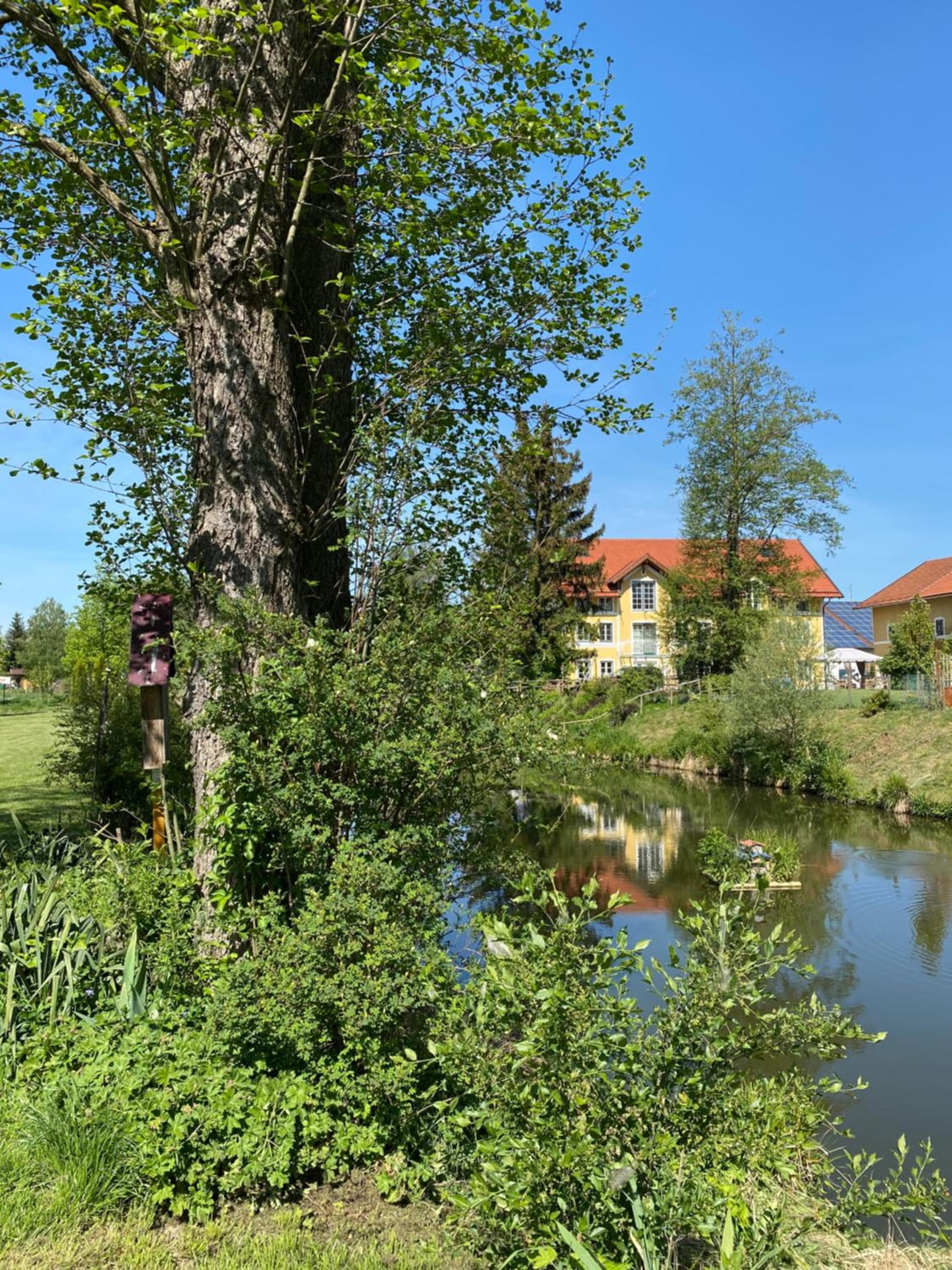 Landgut zur Mühle, photo 4