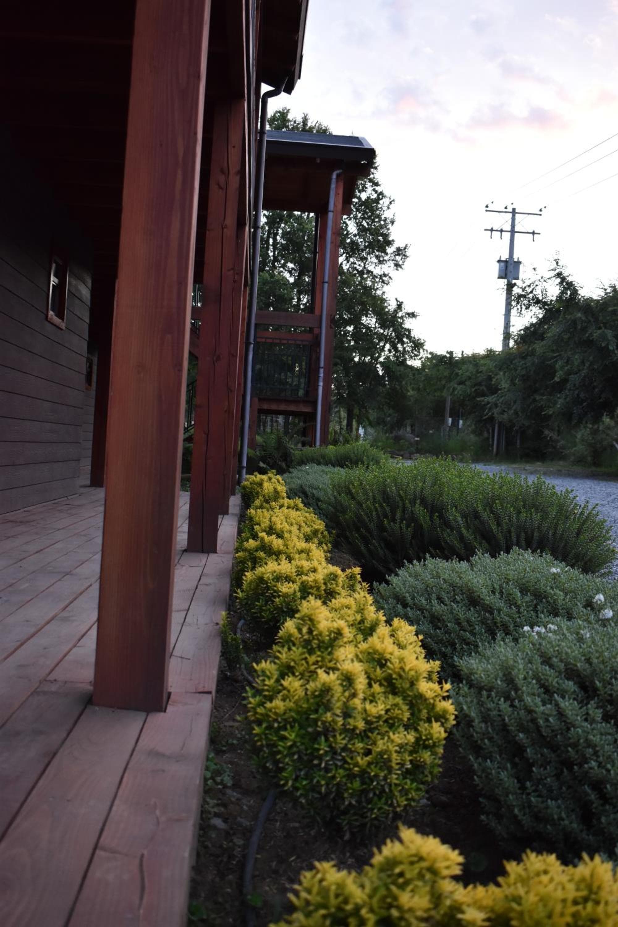 Terra Newen Pucon Family Suites, Pucón, photo 3