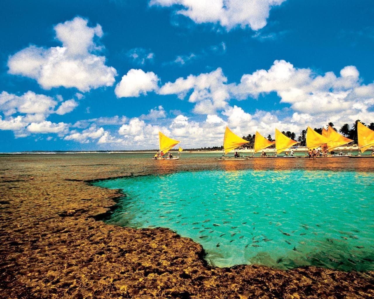Laguna Beach Flat -205, Porto De Galinhas, photo 4