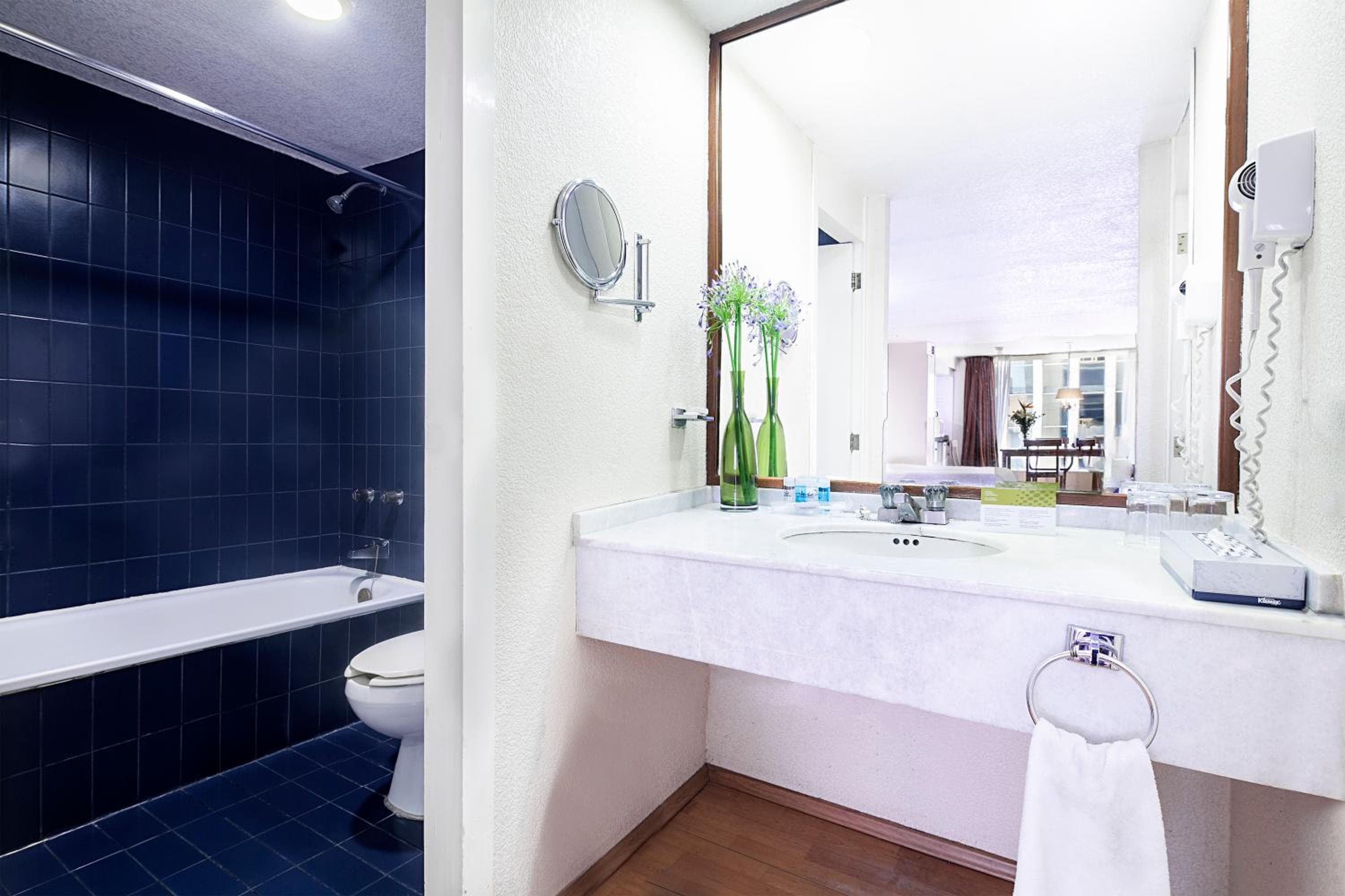 Exe Suites San Marino, Mexico City, photo 6