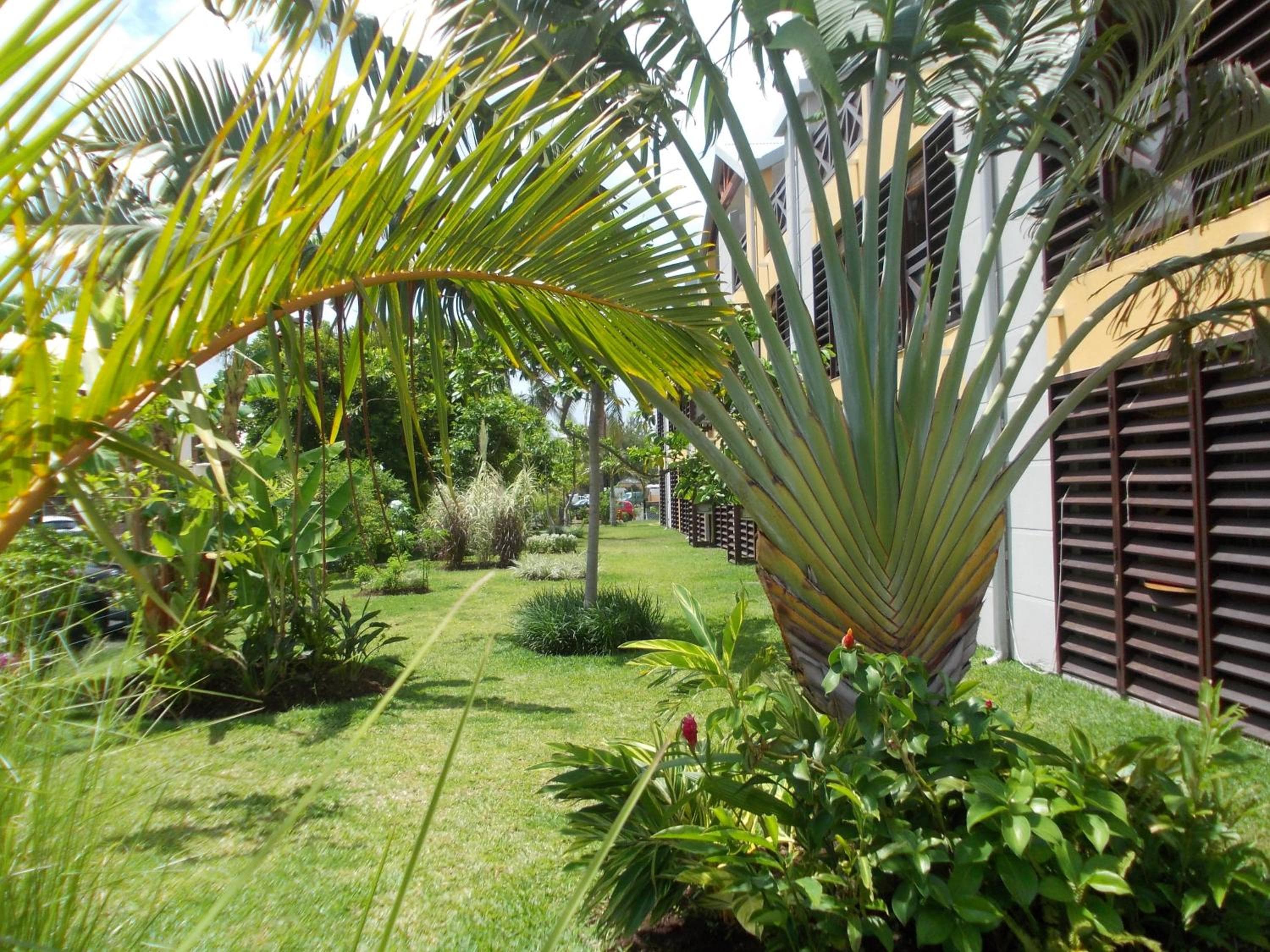 Résidence Tropic Appart Hotel, Saint-Gilles les Bains, photo 5