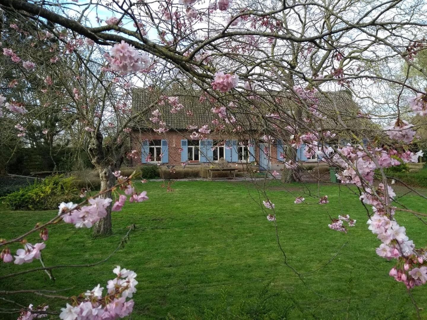 Saffels Nest 33, Lochristi