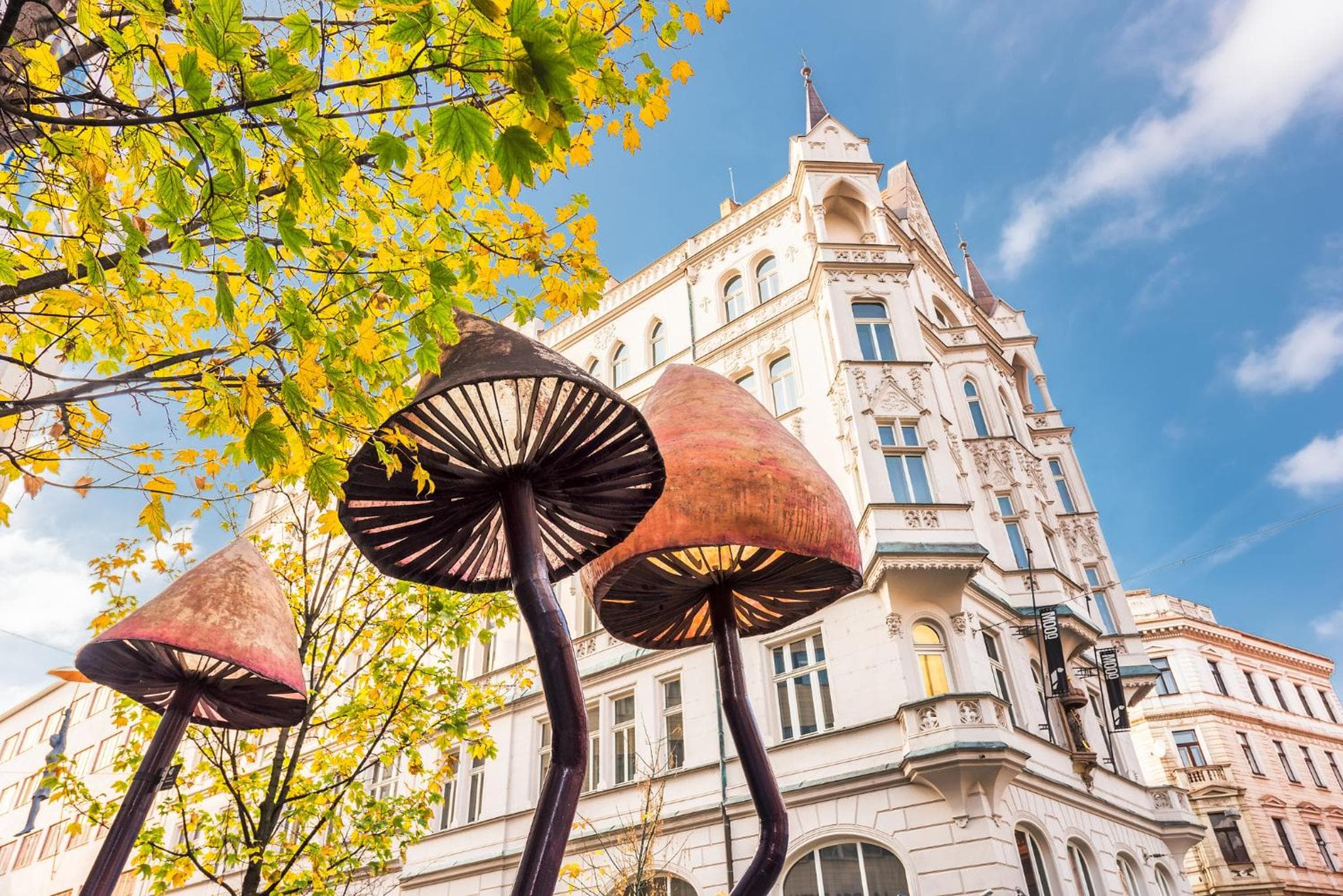 MOOo Downtown, Prague, photo 3