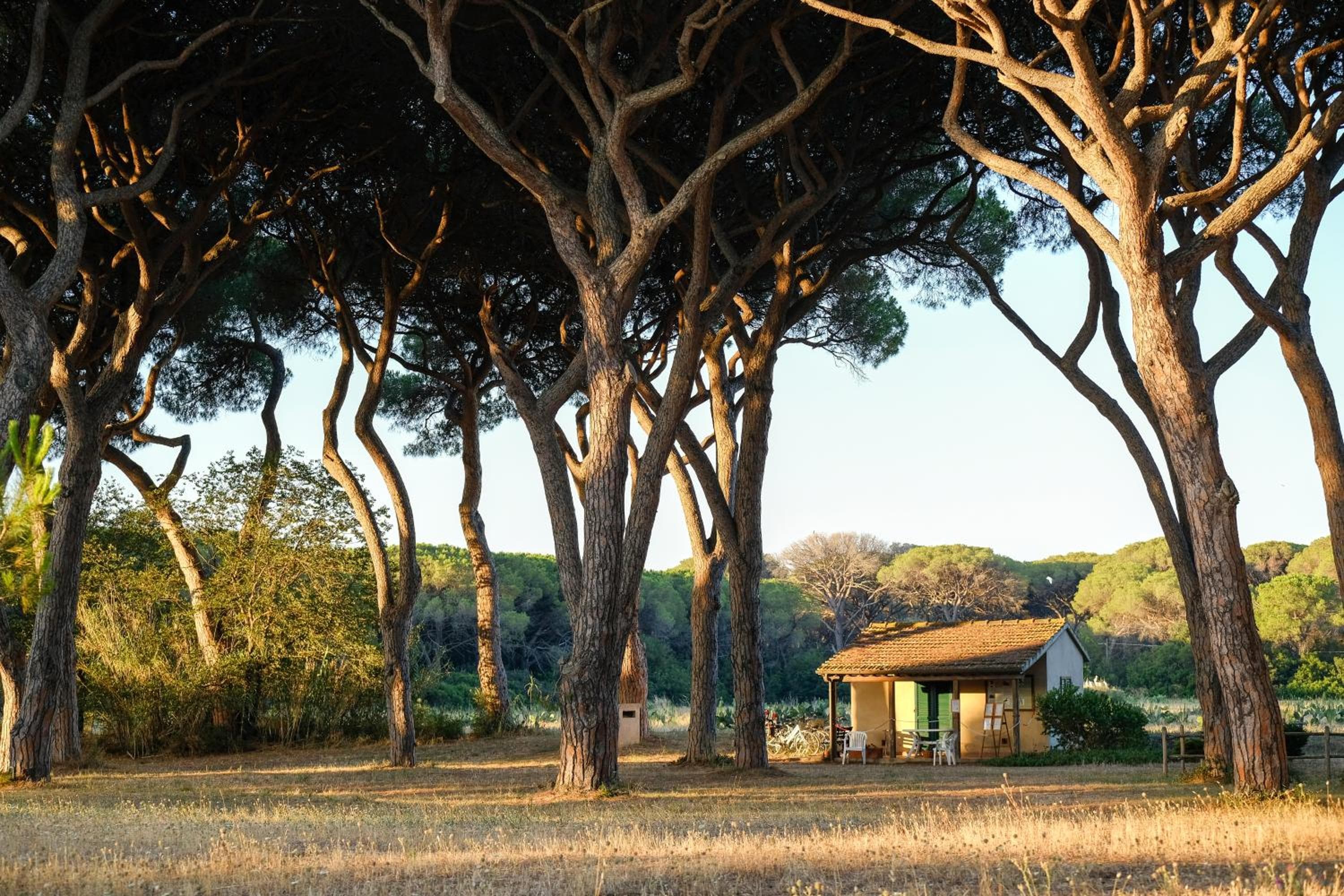 Residence La Canova II, Marina di Grosseto, photo 3