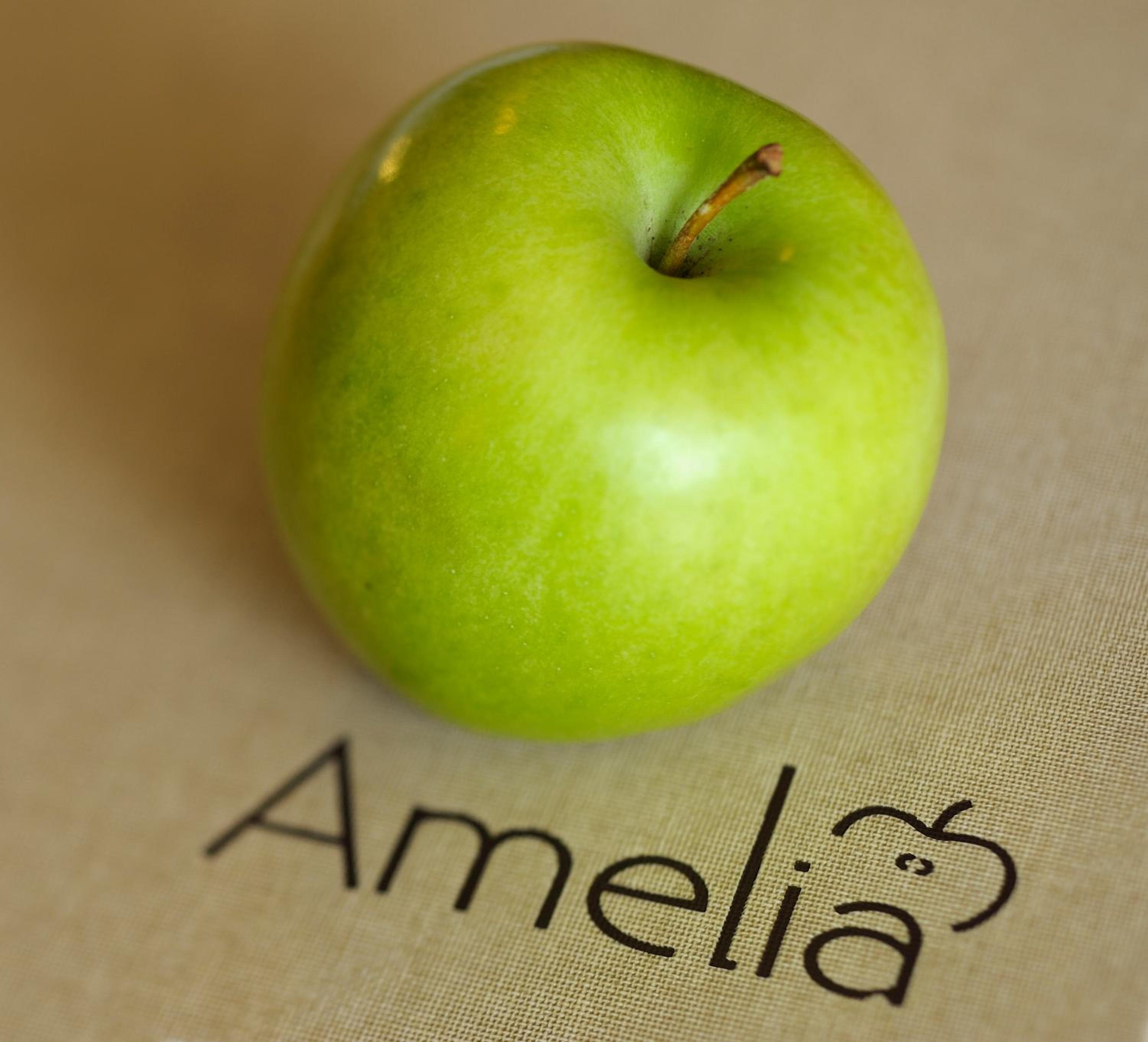 AMELIA apartments, Tirolo, photo 4