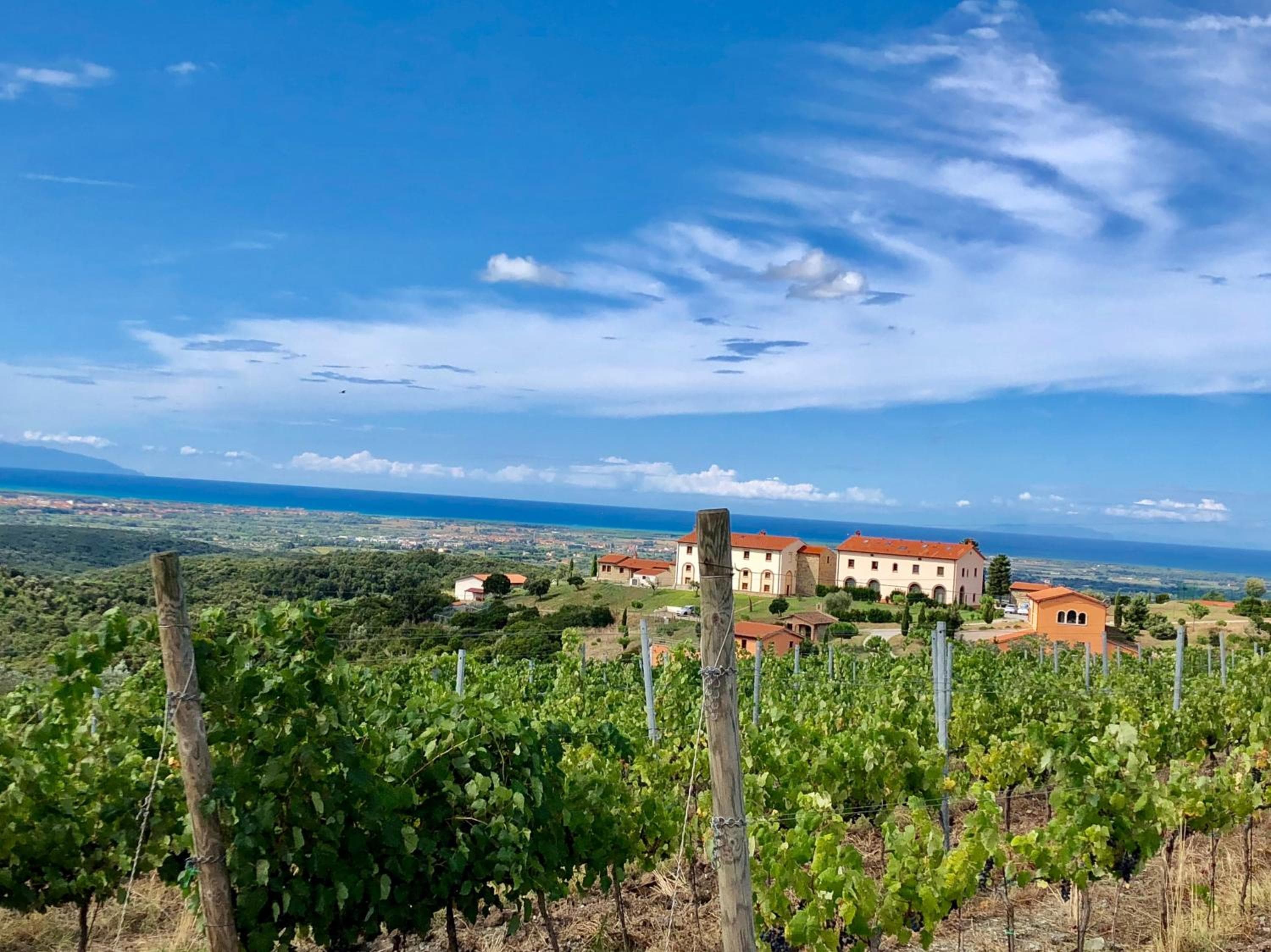 Agriturismo Tenuta Pakravan Papi, Riparbella