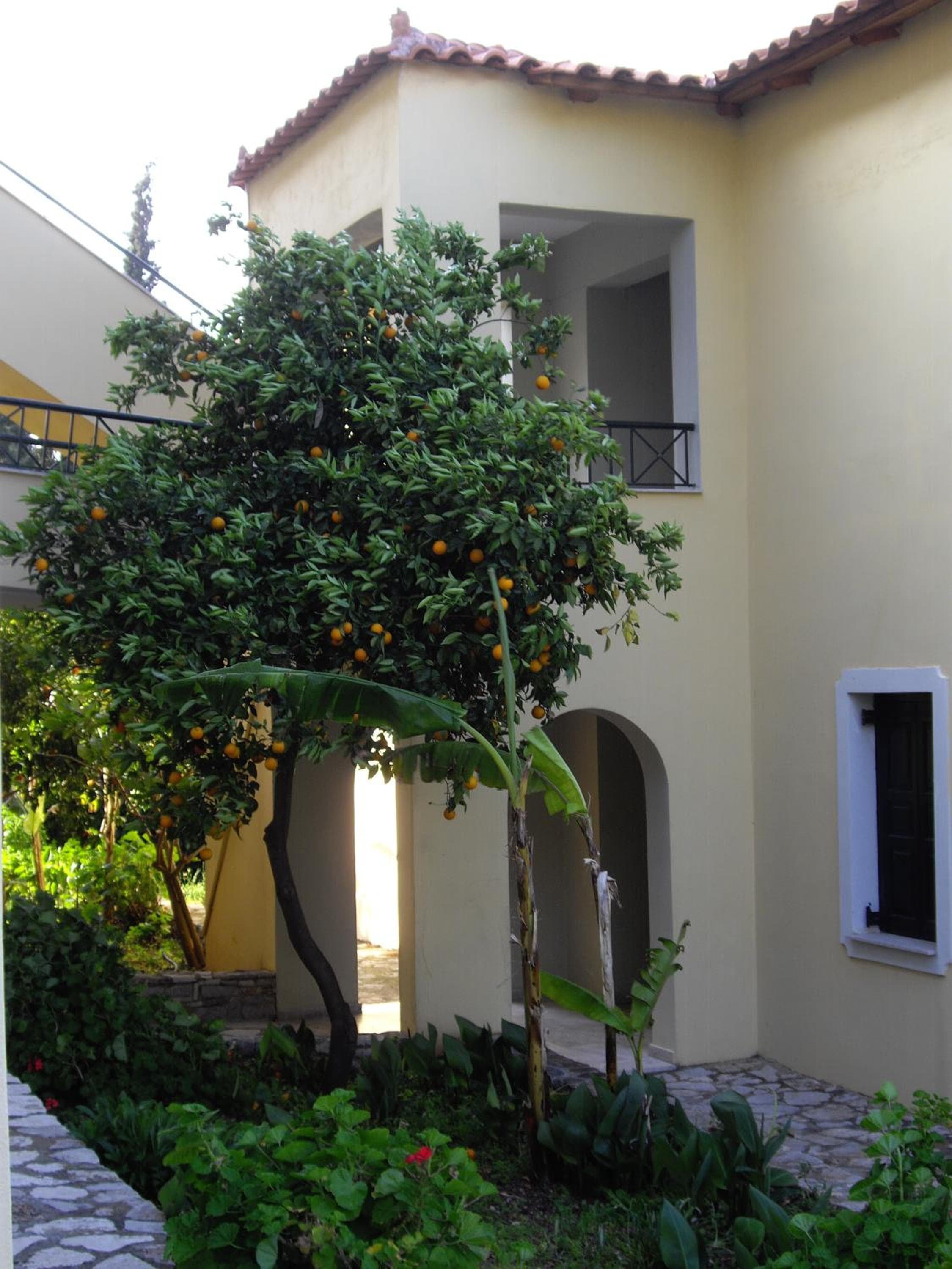Magda Hotel Apartments, Ancient Epidavros, photo 4