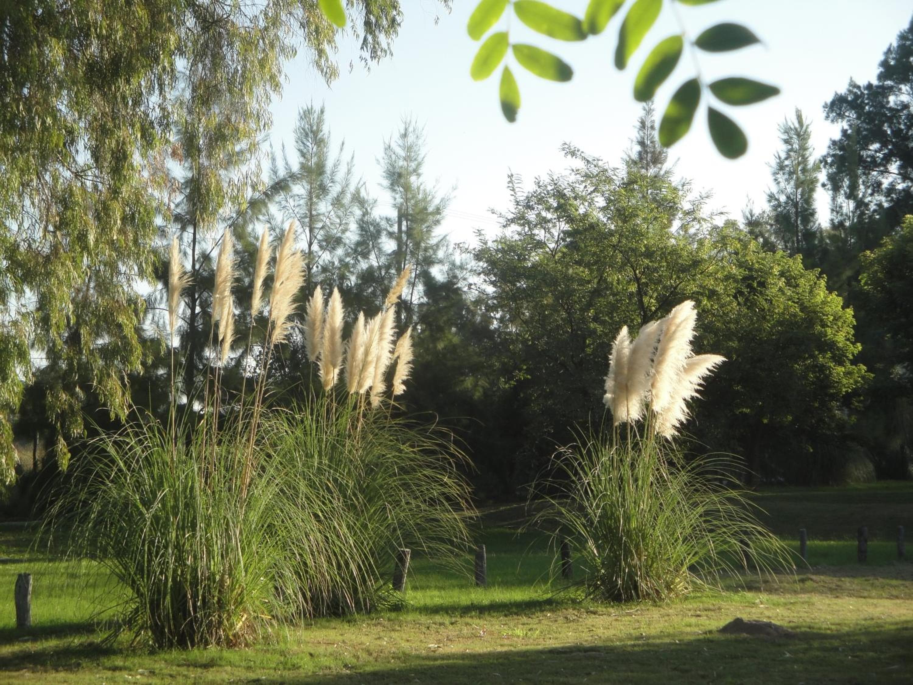 Solares de la Laguna, Santa Fe, photo 6