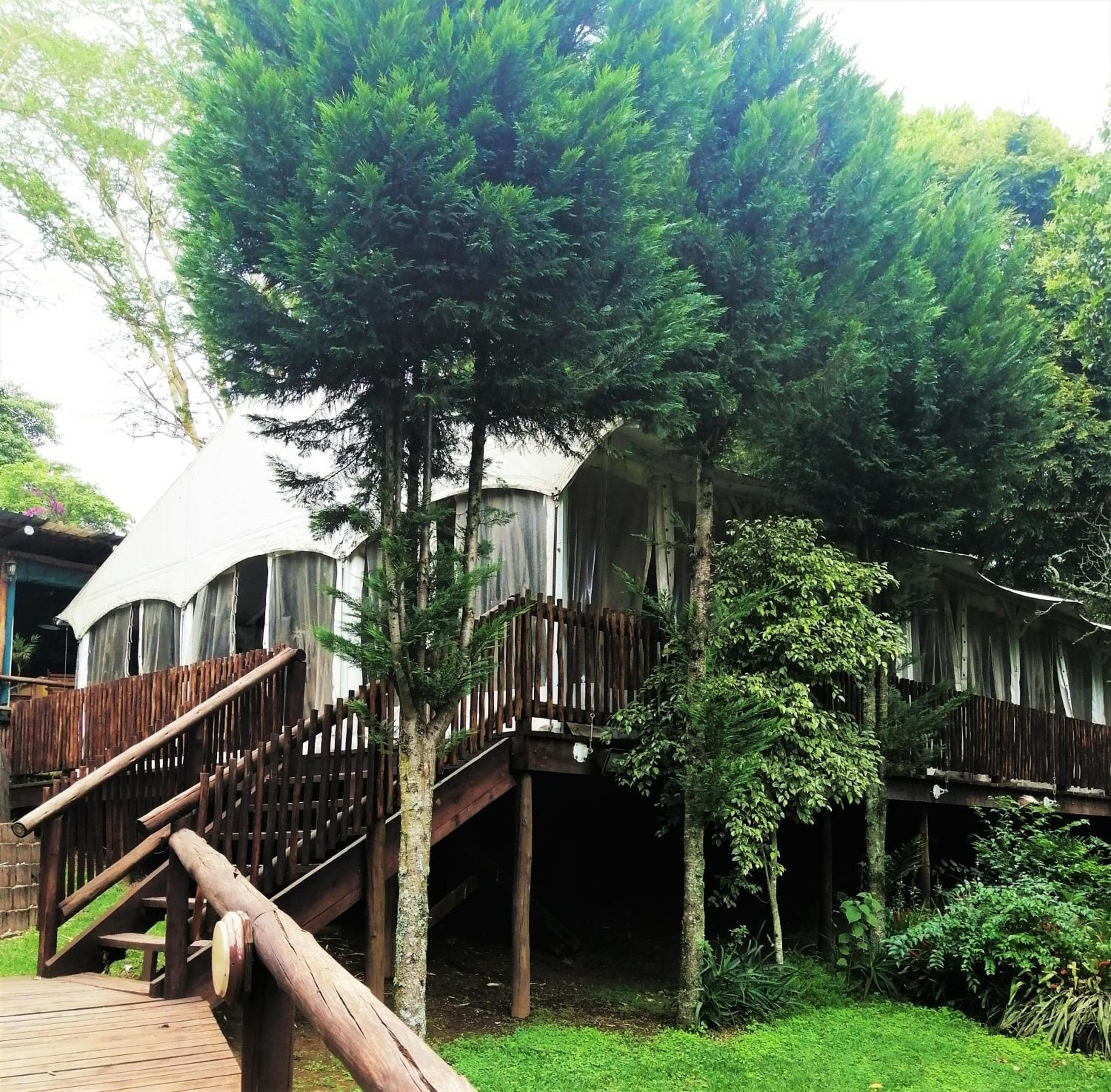 Sakabula Country Lodge, Camperdown, photo 5