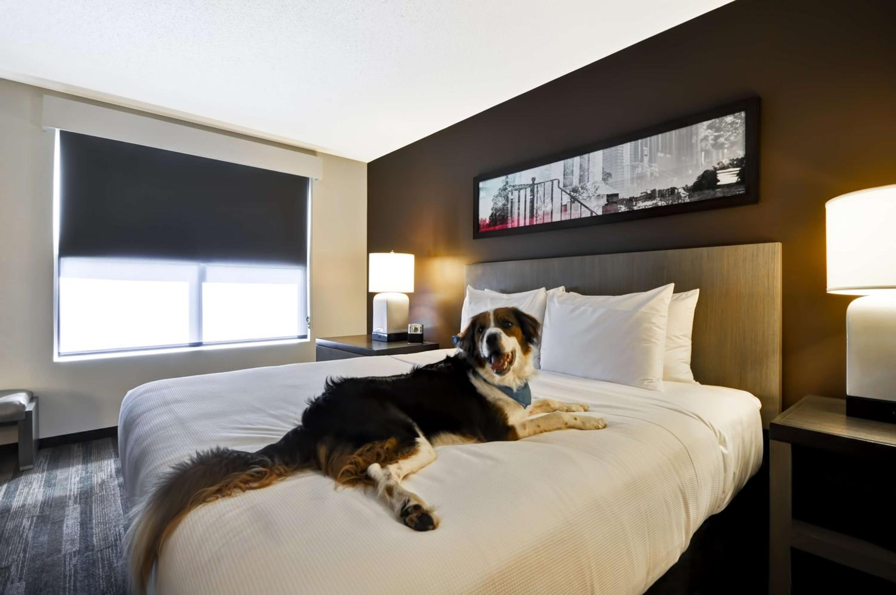 Hyatt House Atlanta Cobb Galleria, photo 3