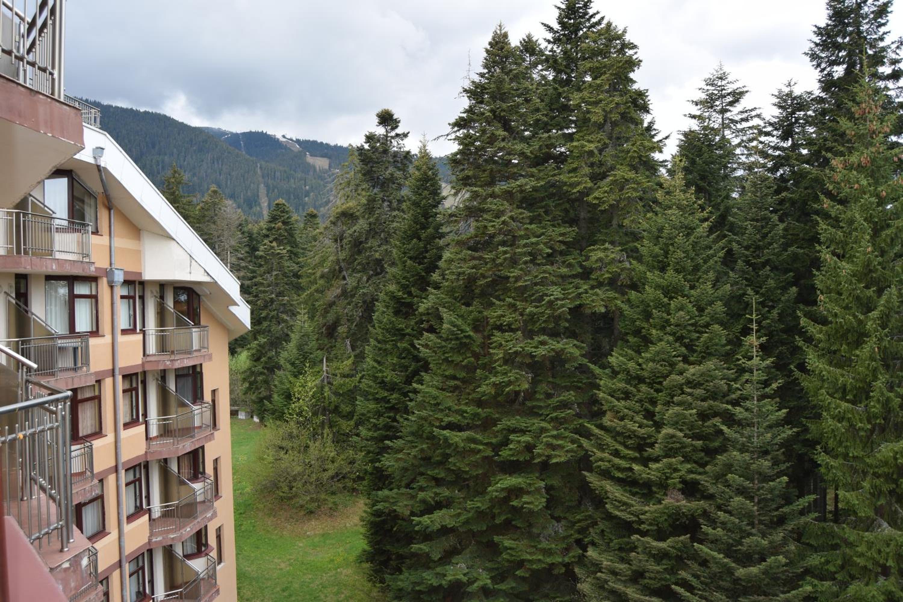 Persey Flora Apartments, Borovets, photo 2