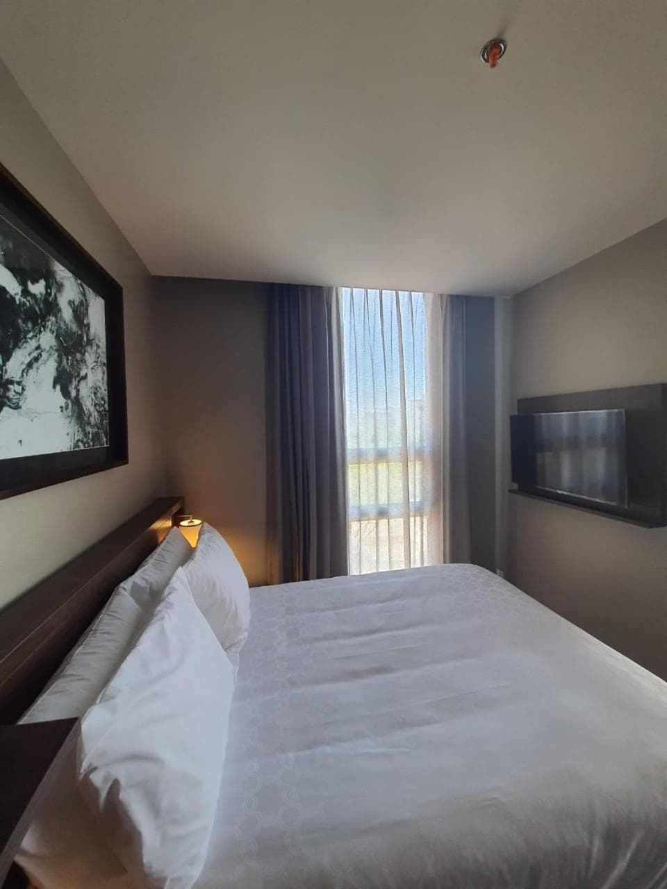 Staybridge Suites - Guadalajara Novena by IHG, Guadalajara, photo 2
