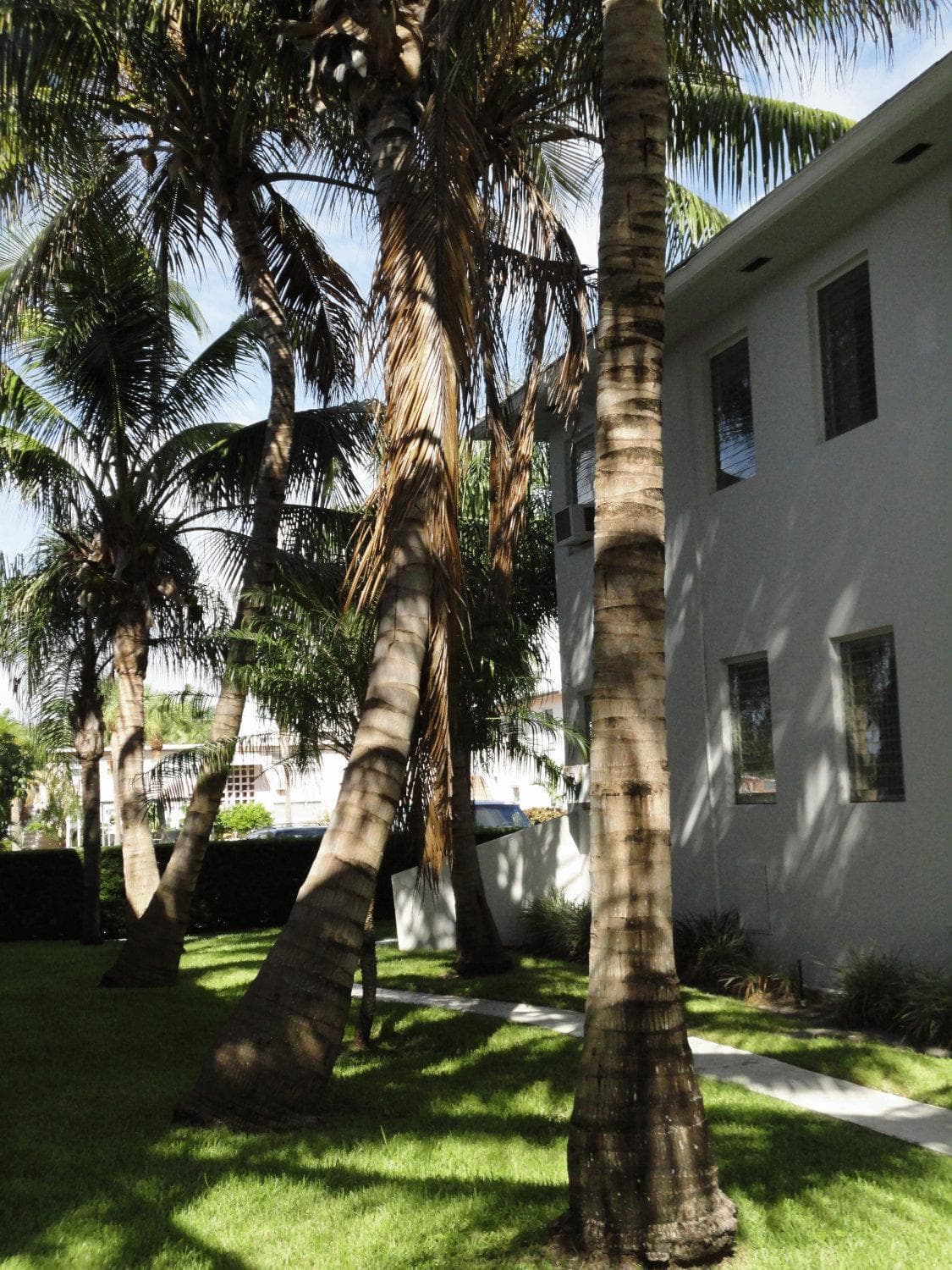 Summerland Suites, Fort Lauderdale