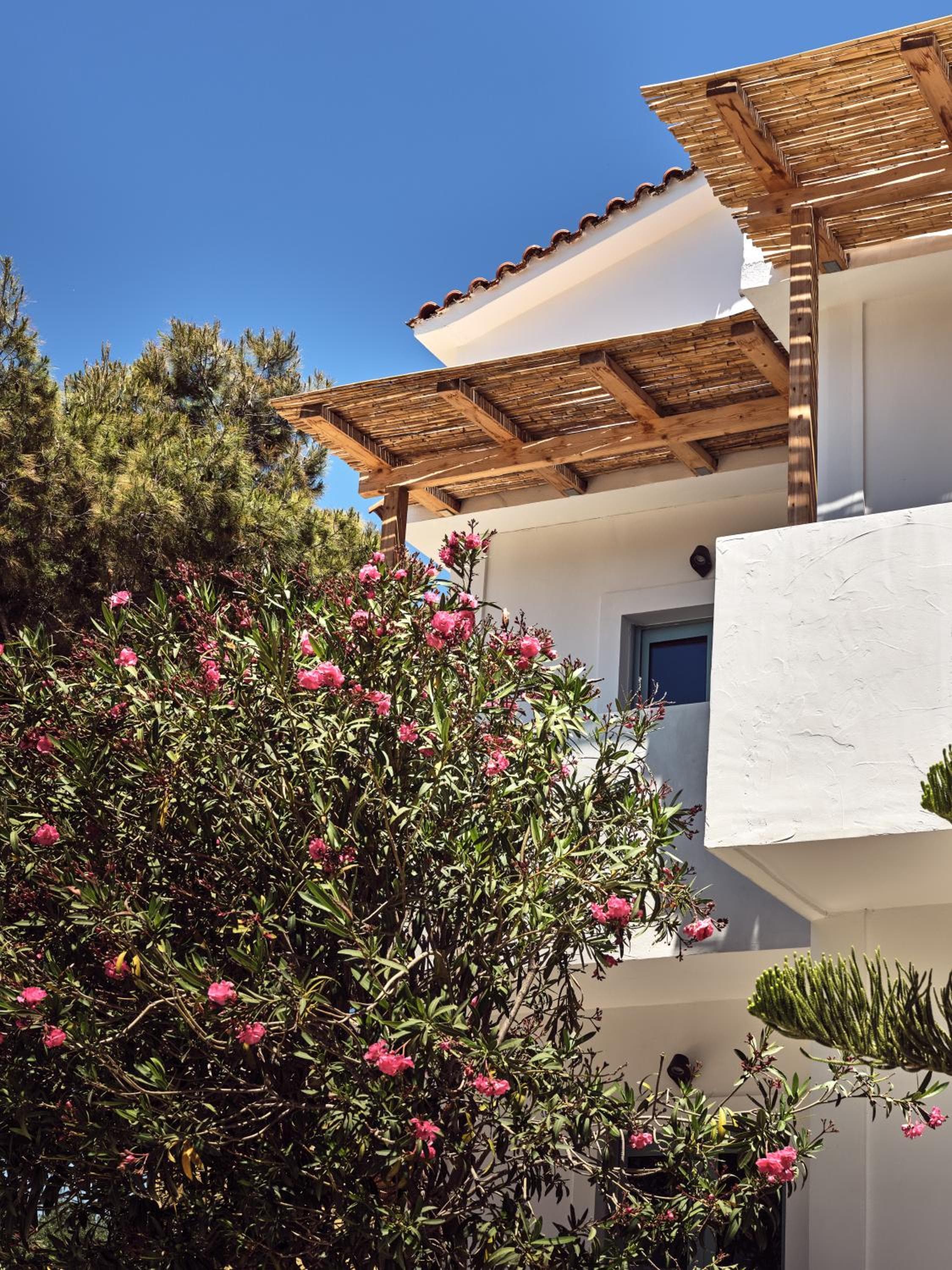 Shellona Rooms & Apartments, Laganas