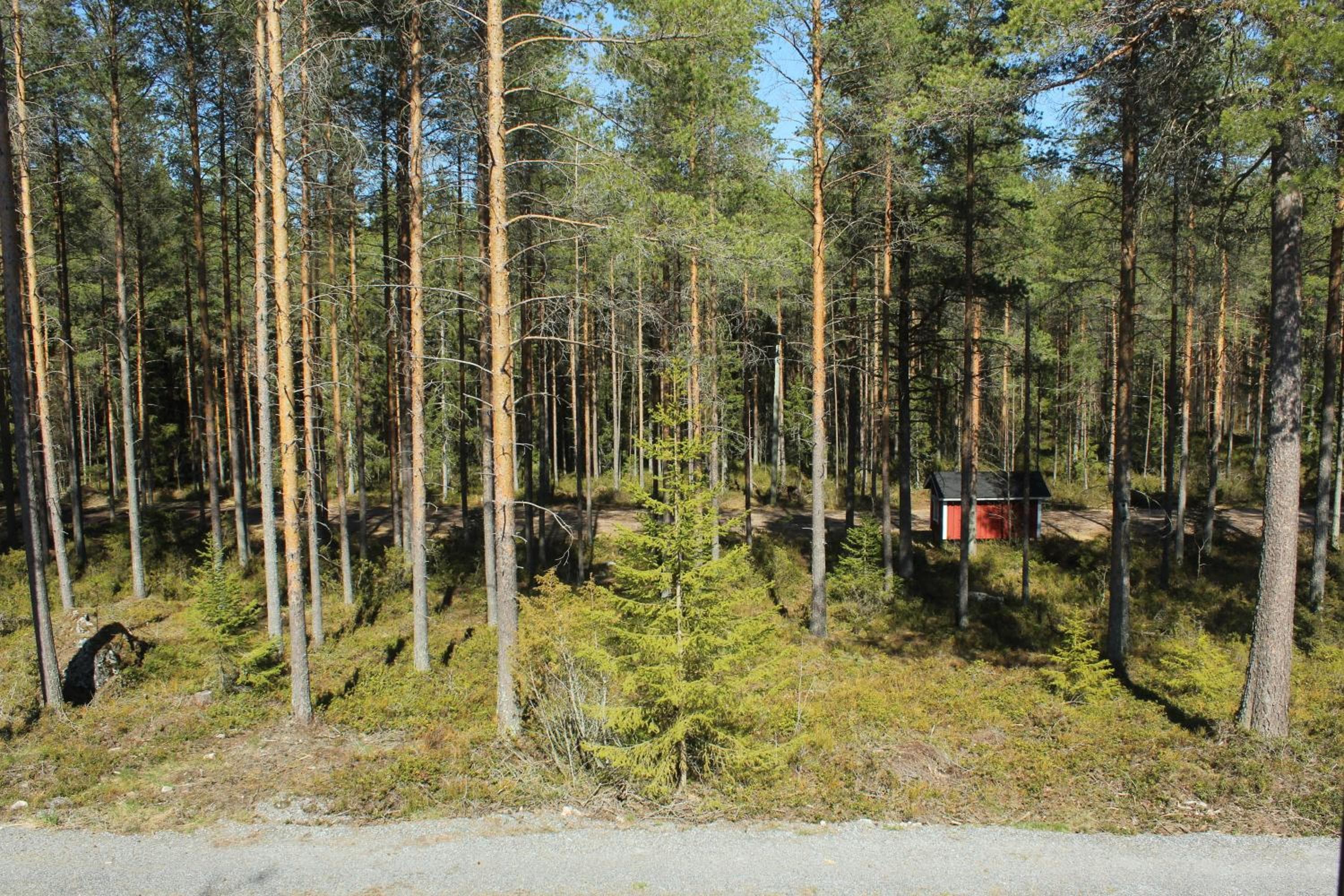 Metsäkartano, Kannus, photo 4
