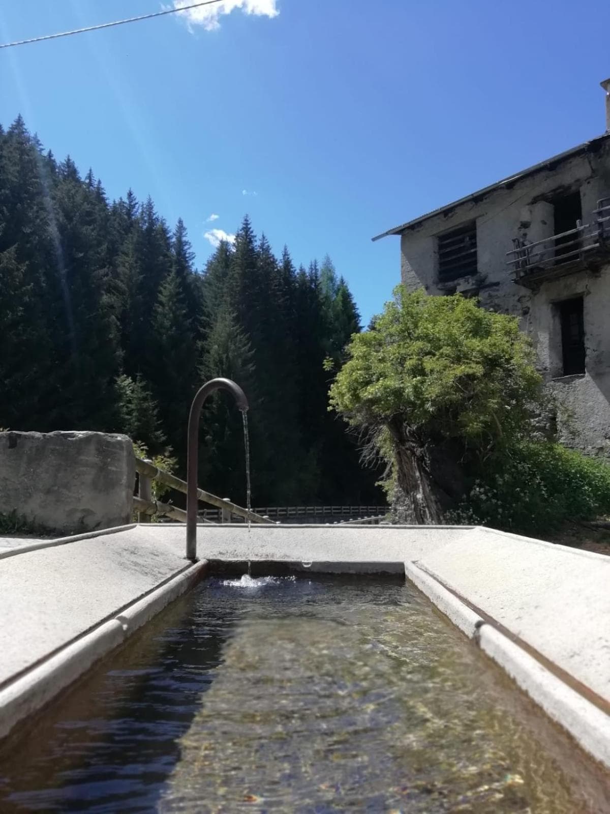 Residence Ables, Valfurva, photo 3