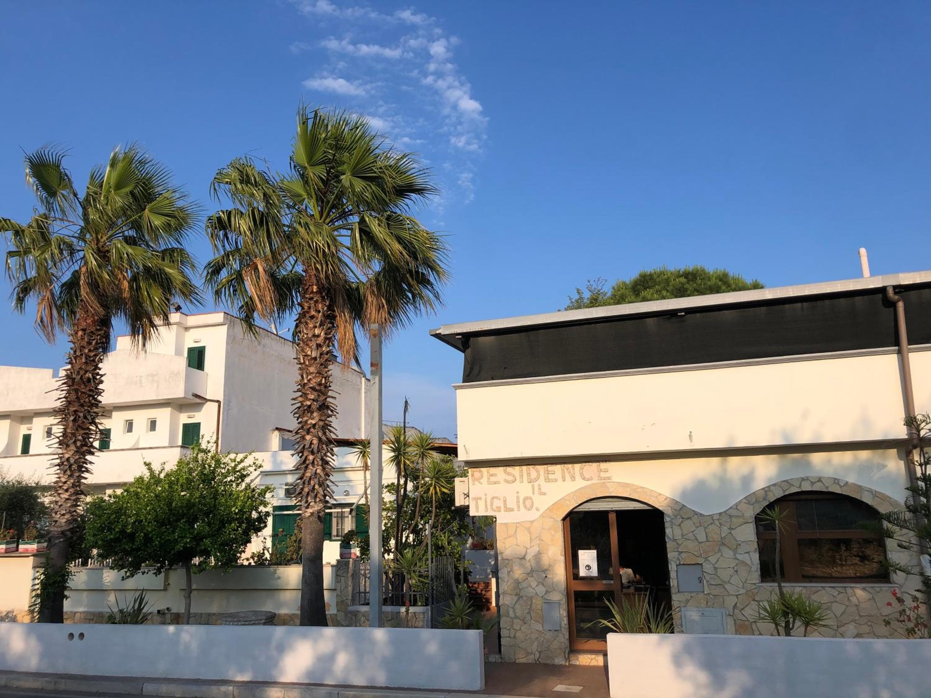 Tiglio Vieste, Vieste