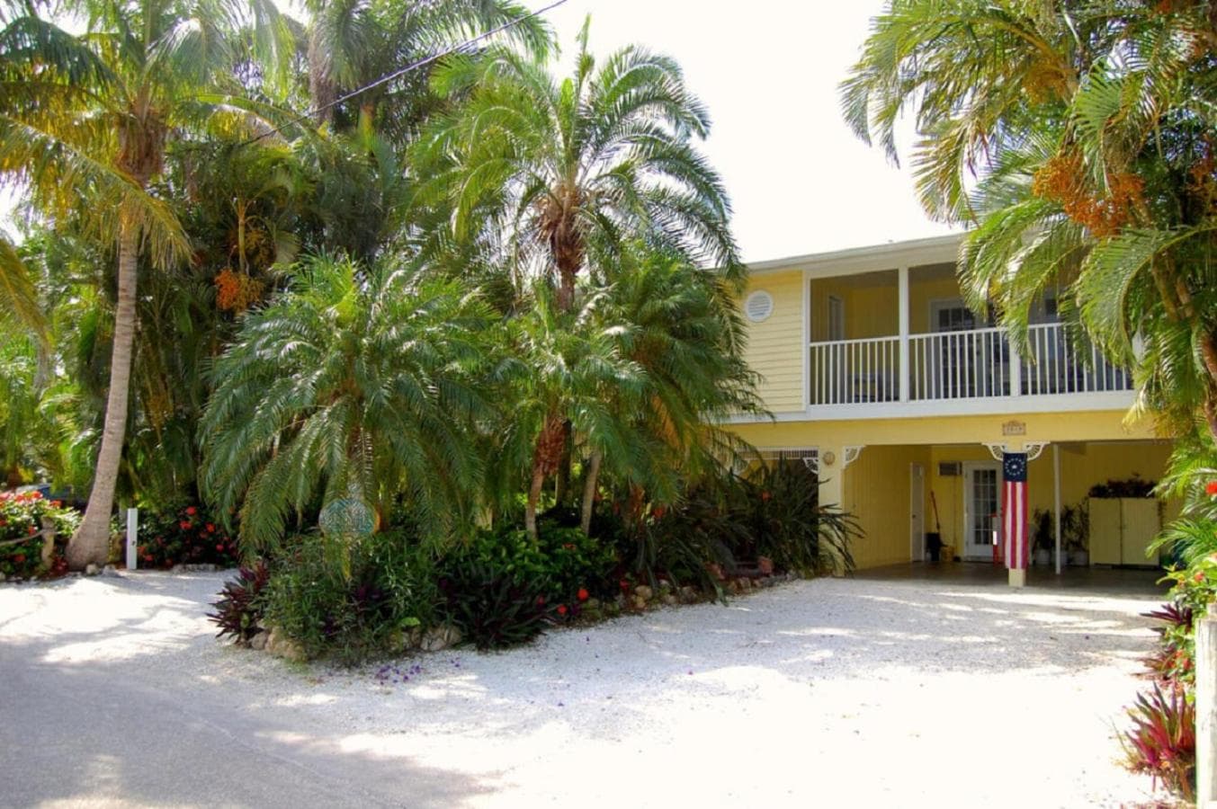 Siesta Key Palms, Sarasota
