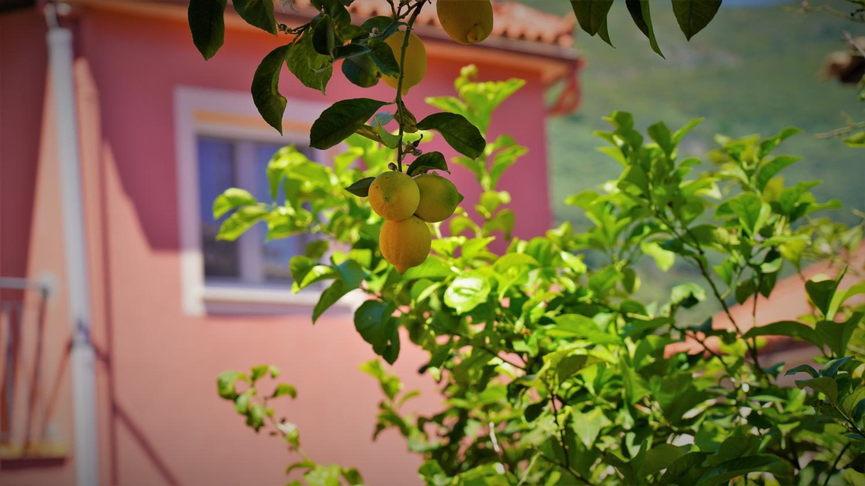 Hotel Tourist, Parga, photo 6