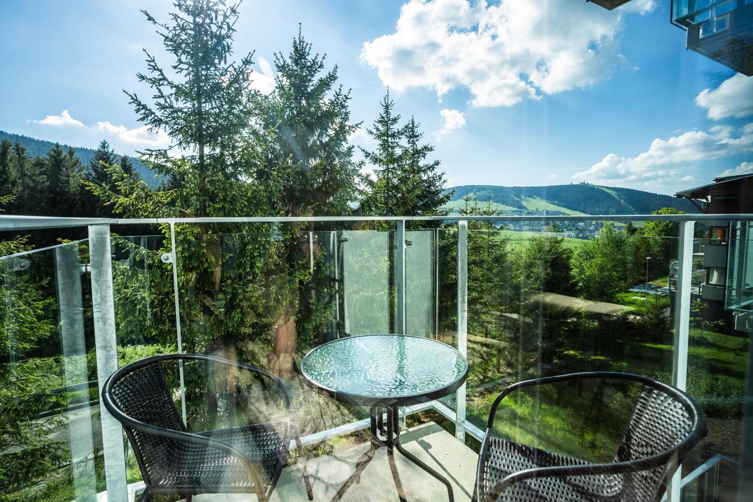 Aparthotel Klínovec Views, Loučná pod Klínovcem, photo 6