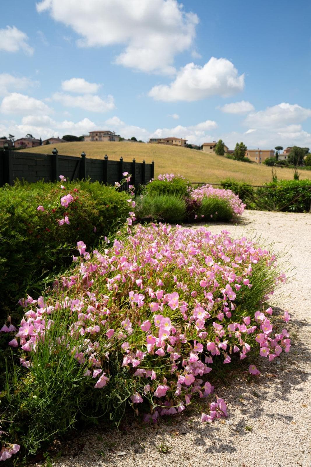 Tenuta Capizucchi, Rome, photo 4
