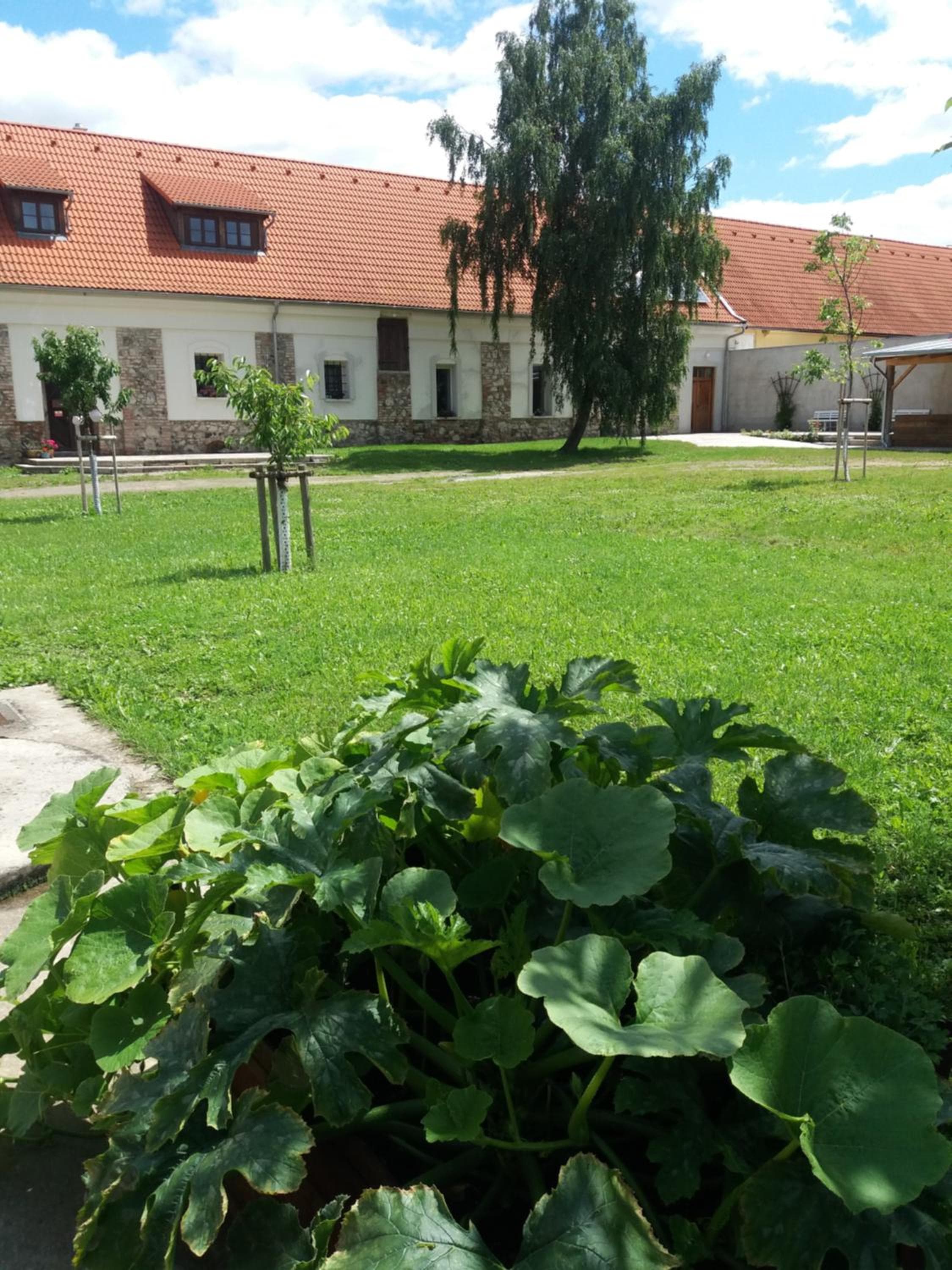 Korn-Hof, Kornatitz, photo 2