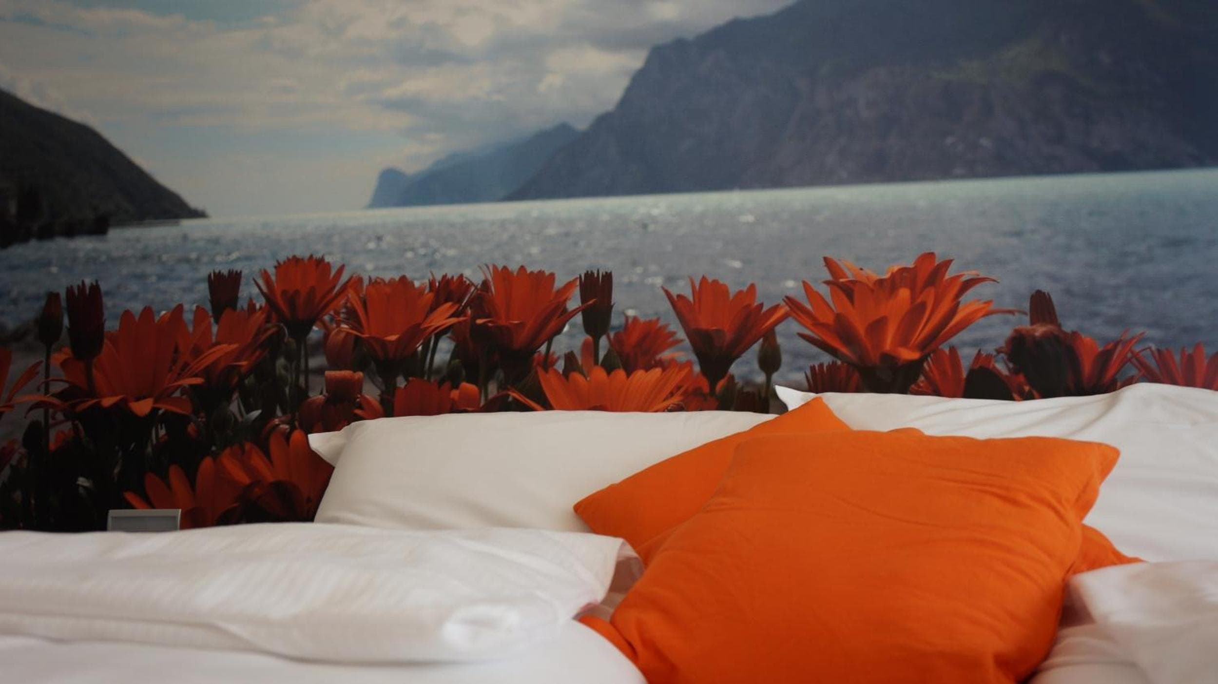 Residence Rivachiara (check-in at Hotel Riviera in Viale Rovereto, 95), Riva del Garda, photo 2