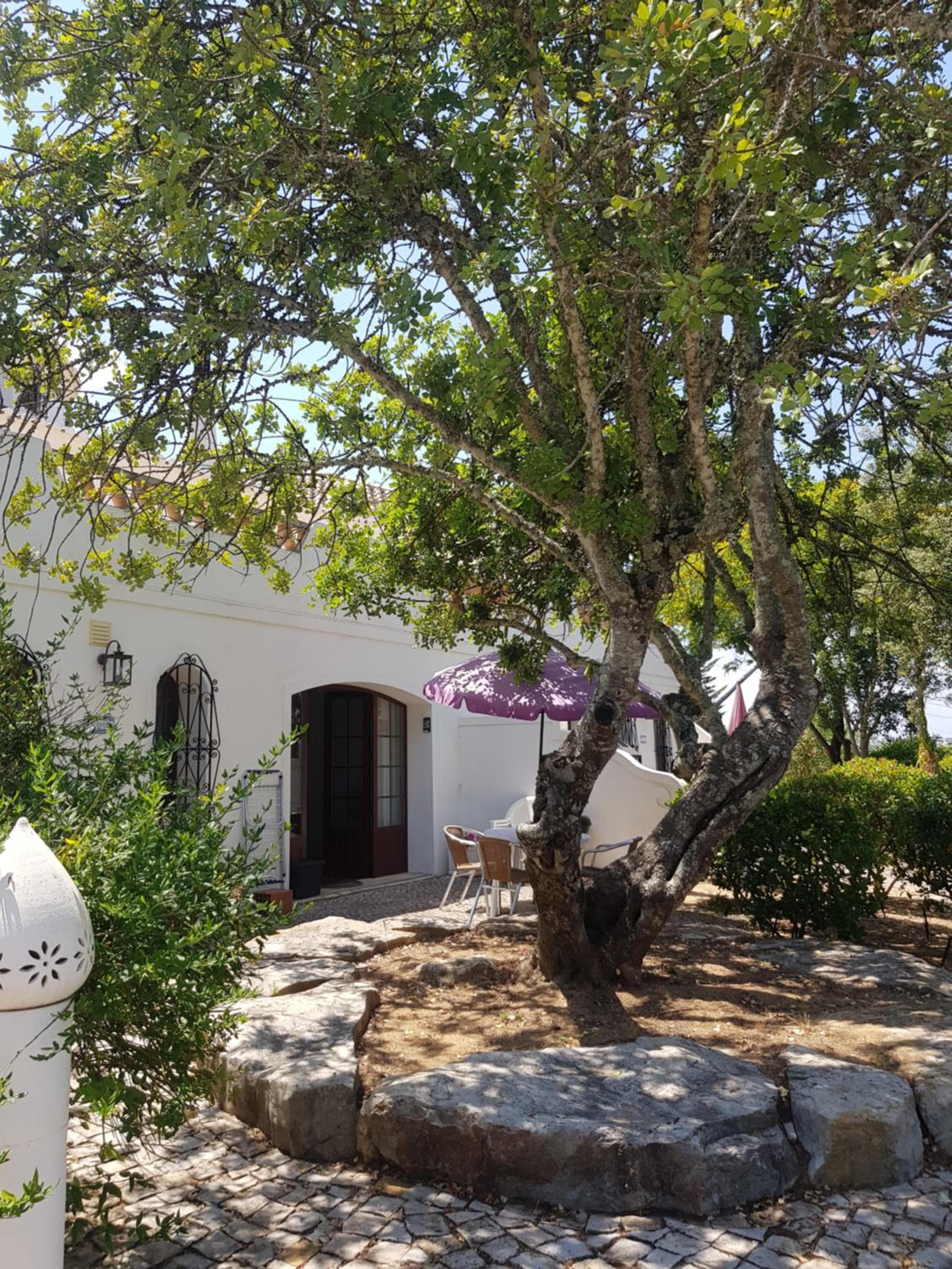 Monte-Bougainvillea, Faro, photo 3