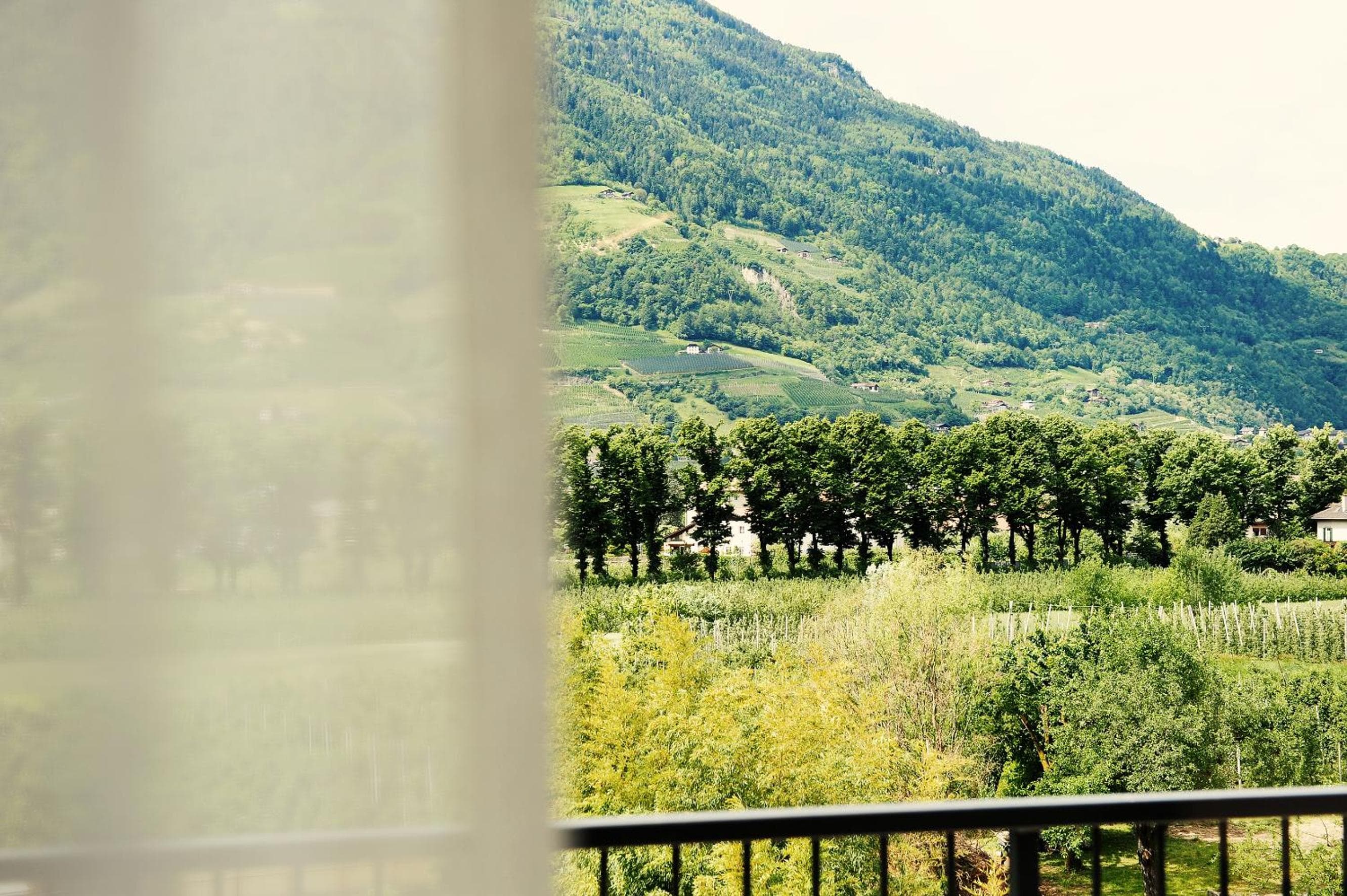 Villa Sasso, Merano, photo 2