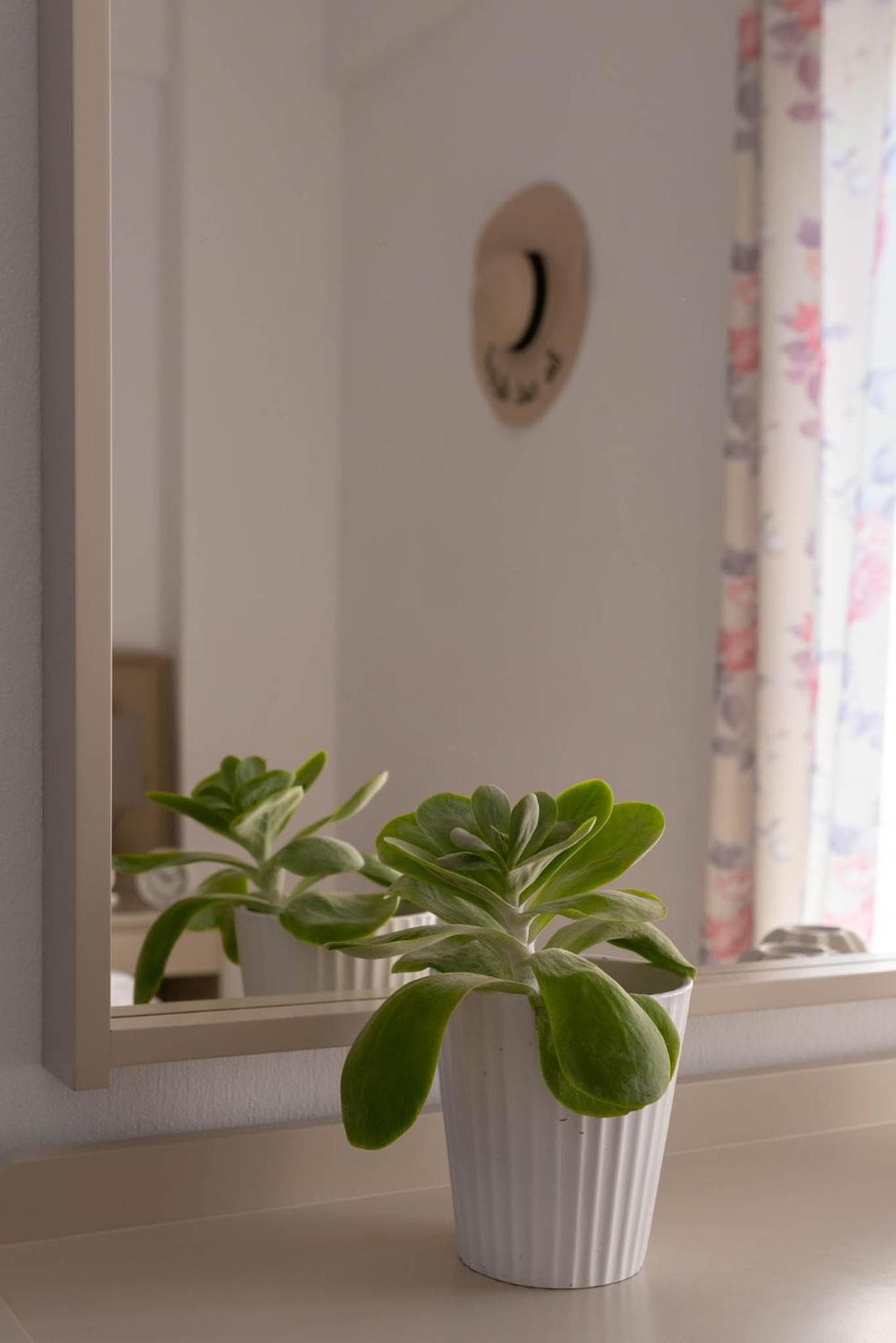 Marie Κelly Apartments, Gouves, photo 3