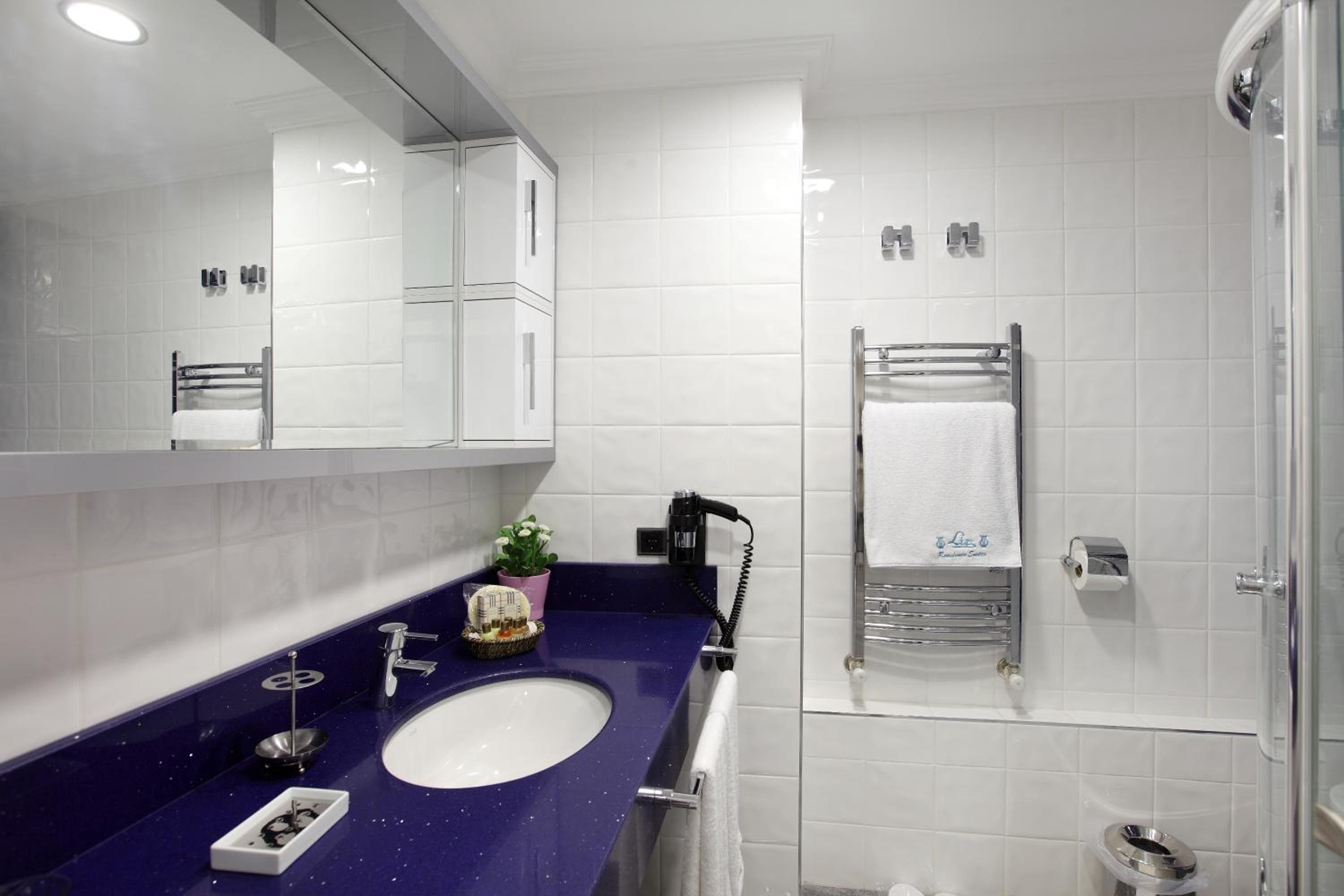 Lir Residence Suites LONG STAY, Istanbul, photo 6
