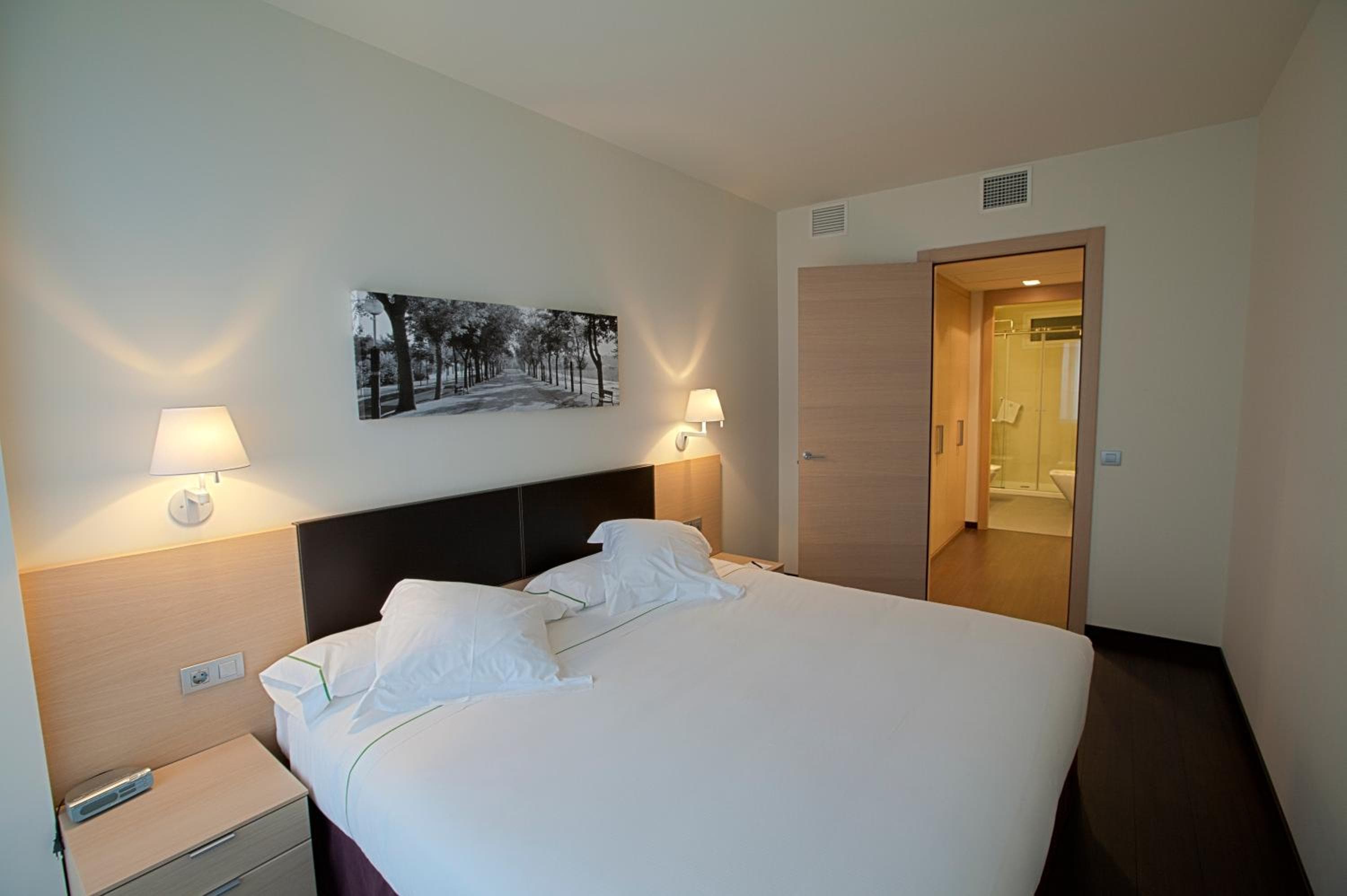 Hotel Jardines de Uleta Suites, Vitoria-Gasteiz, photo 5