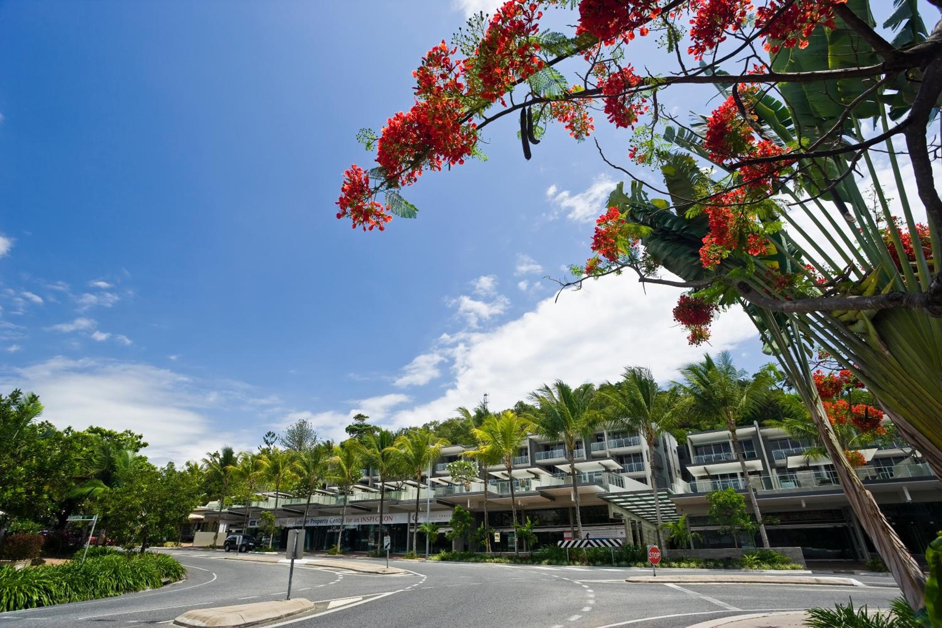 Coconut Grove, Port Douglas
