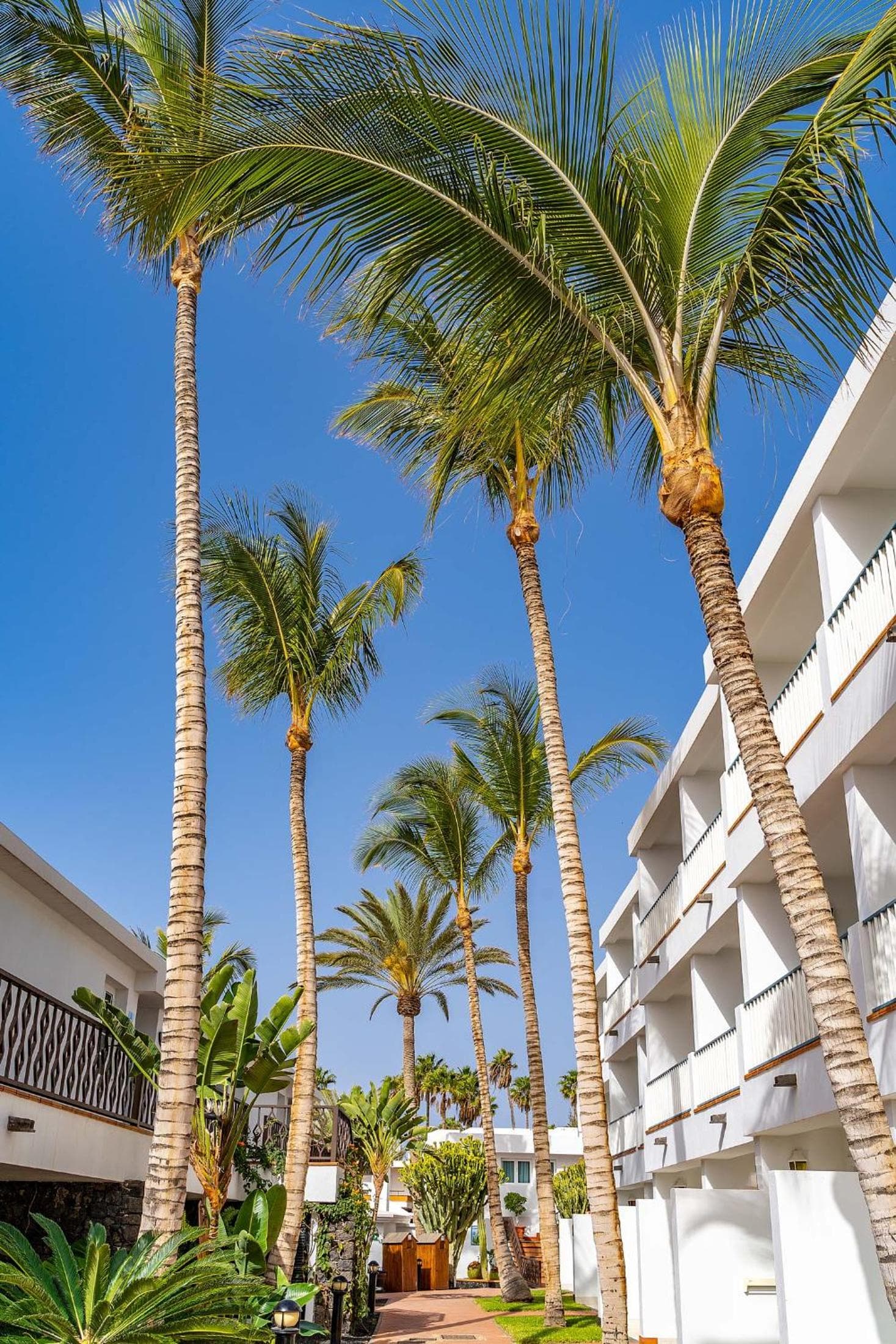 Plus Fariones Apartamentos, Puerto del Carmen, photo 4