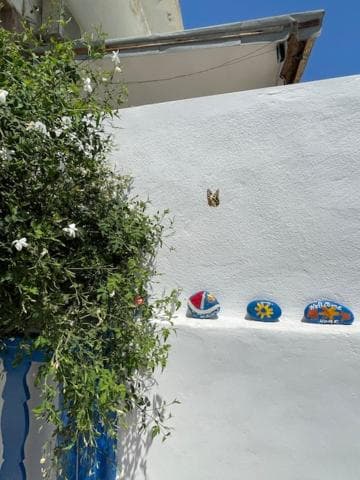 Marena 1, Makry Gialos, photo 2