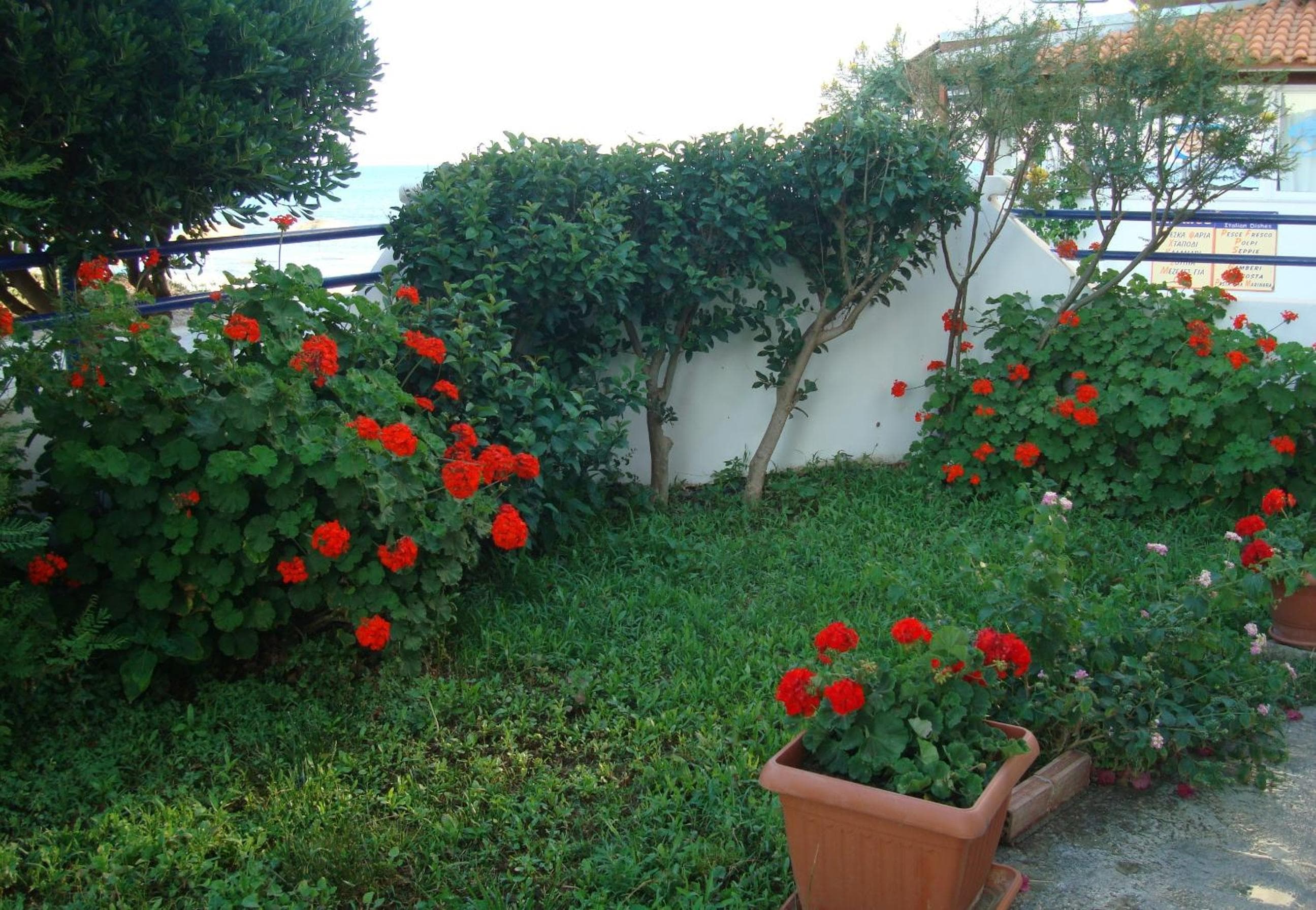 Philippos Studios & Apartments, Kardamaina, photo 4