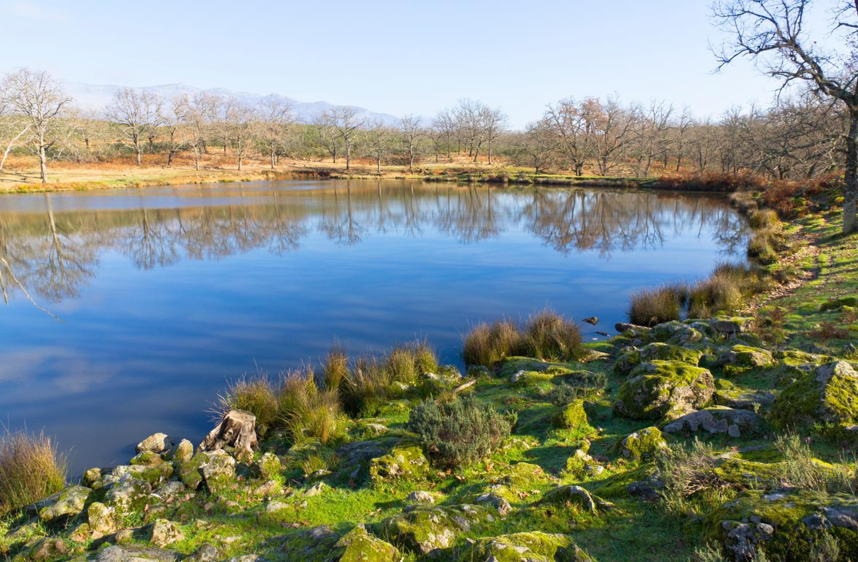 La Hospedería Del Silencio, Robledillo de la Vera, photo 3
