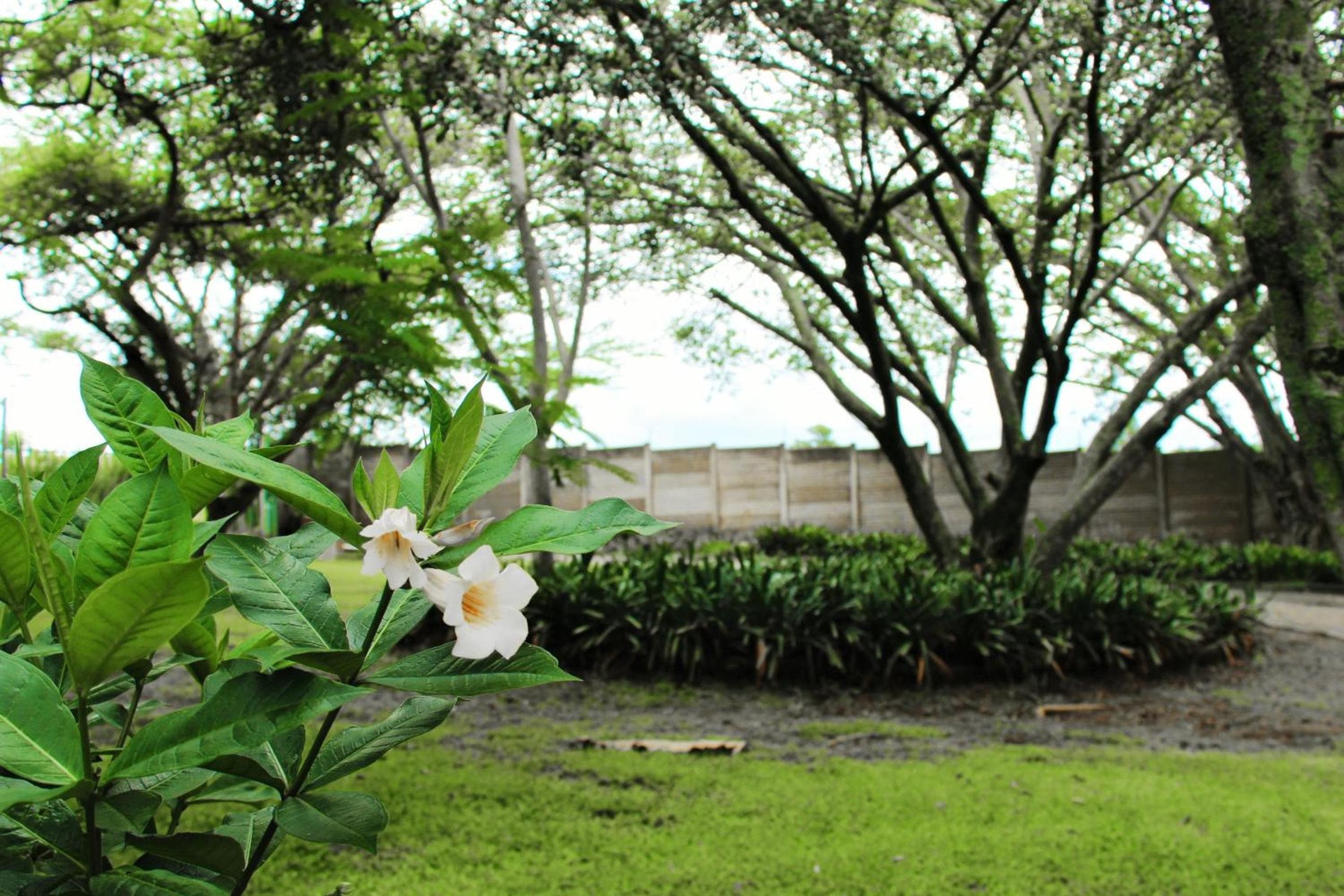 Sakabula Country Lodge, Camperdown, photo 6