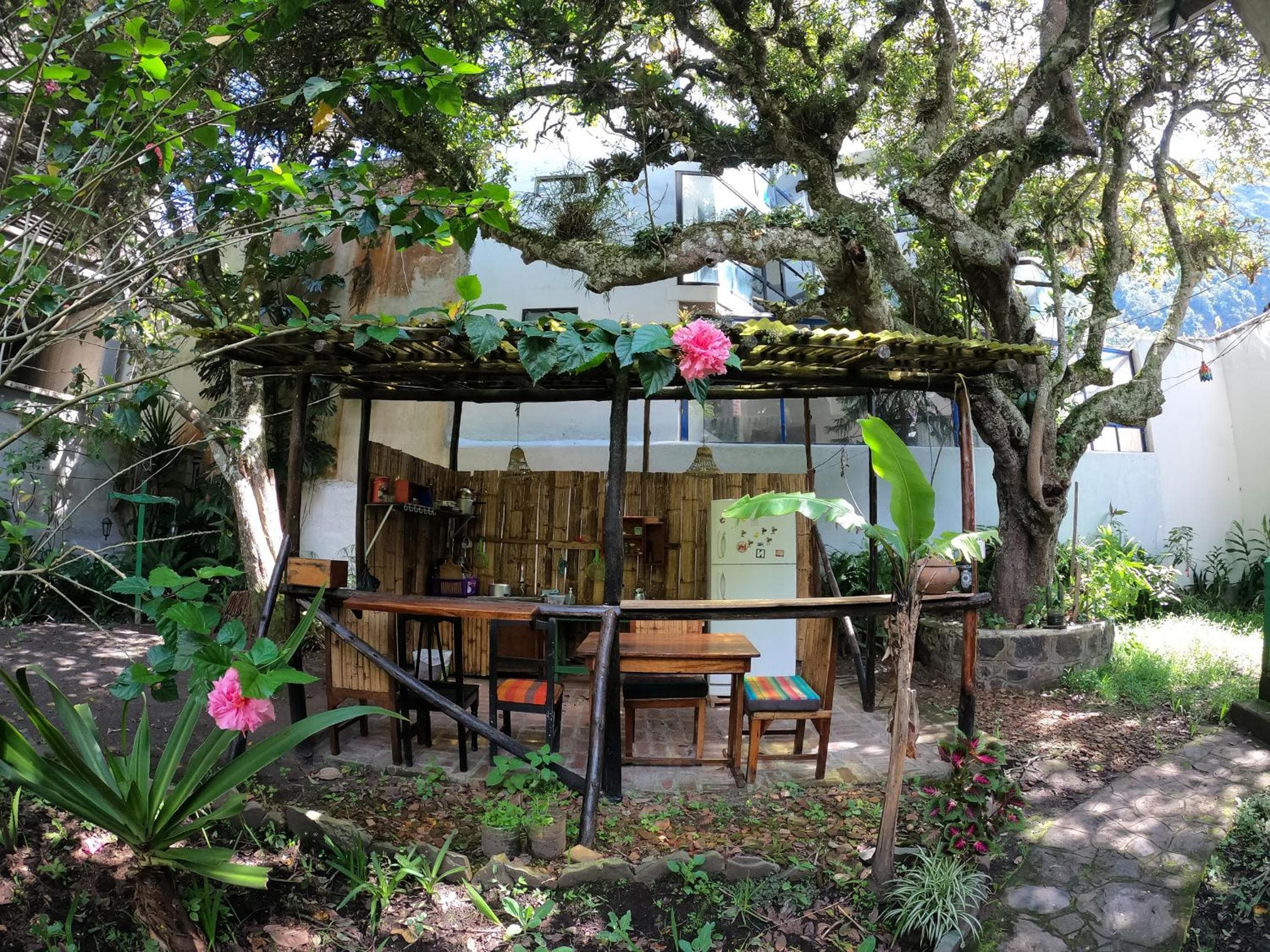 Le Petit Jardin, Baños, photo 2