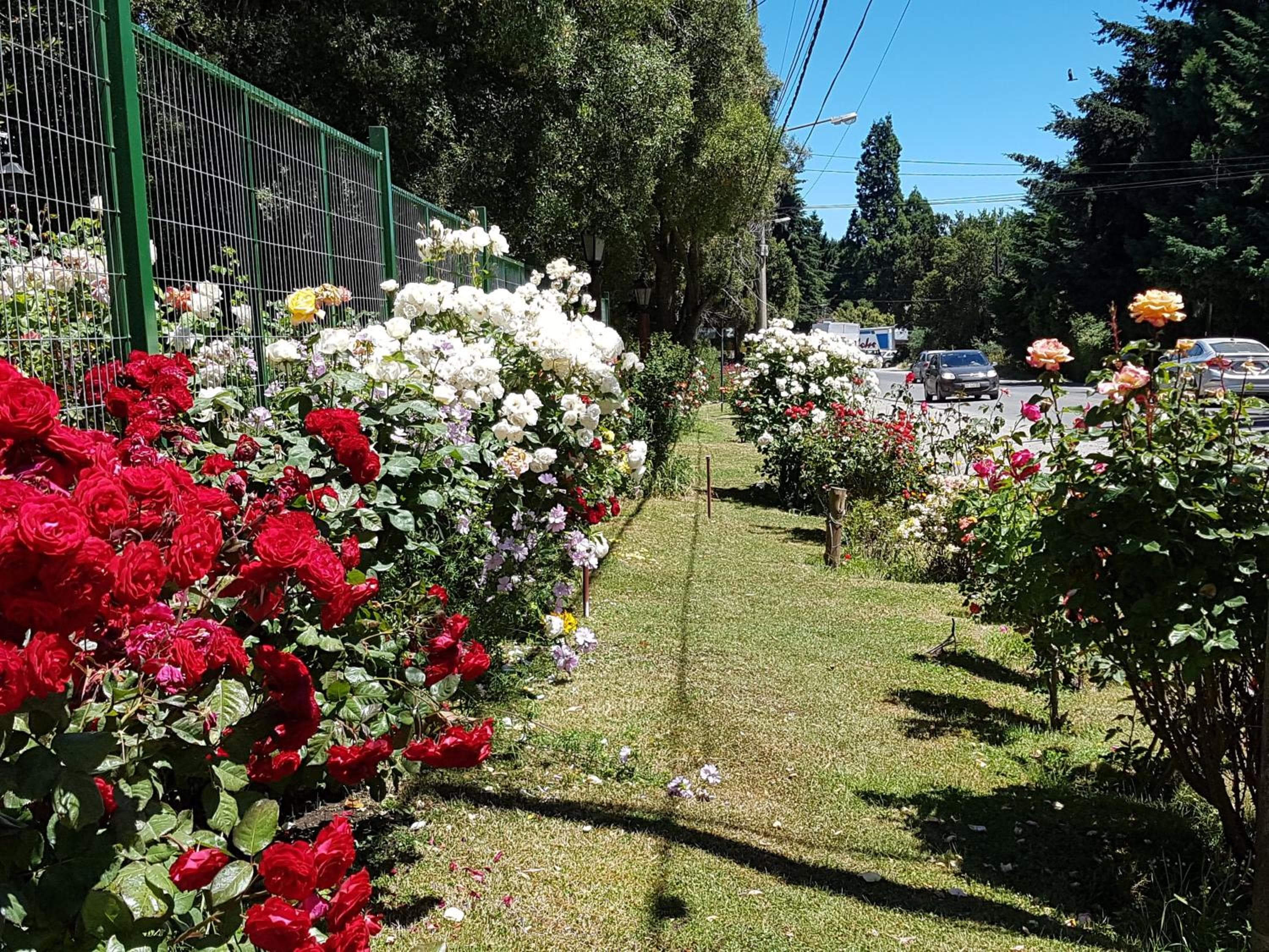 De las Rosas Bariloche, San Carlos de Bariloche, photo 4
