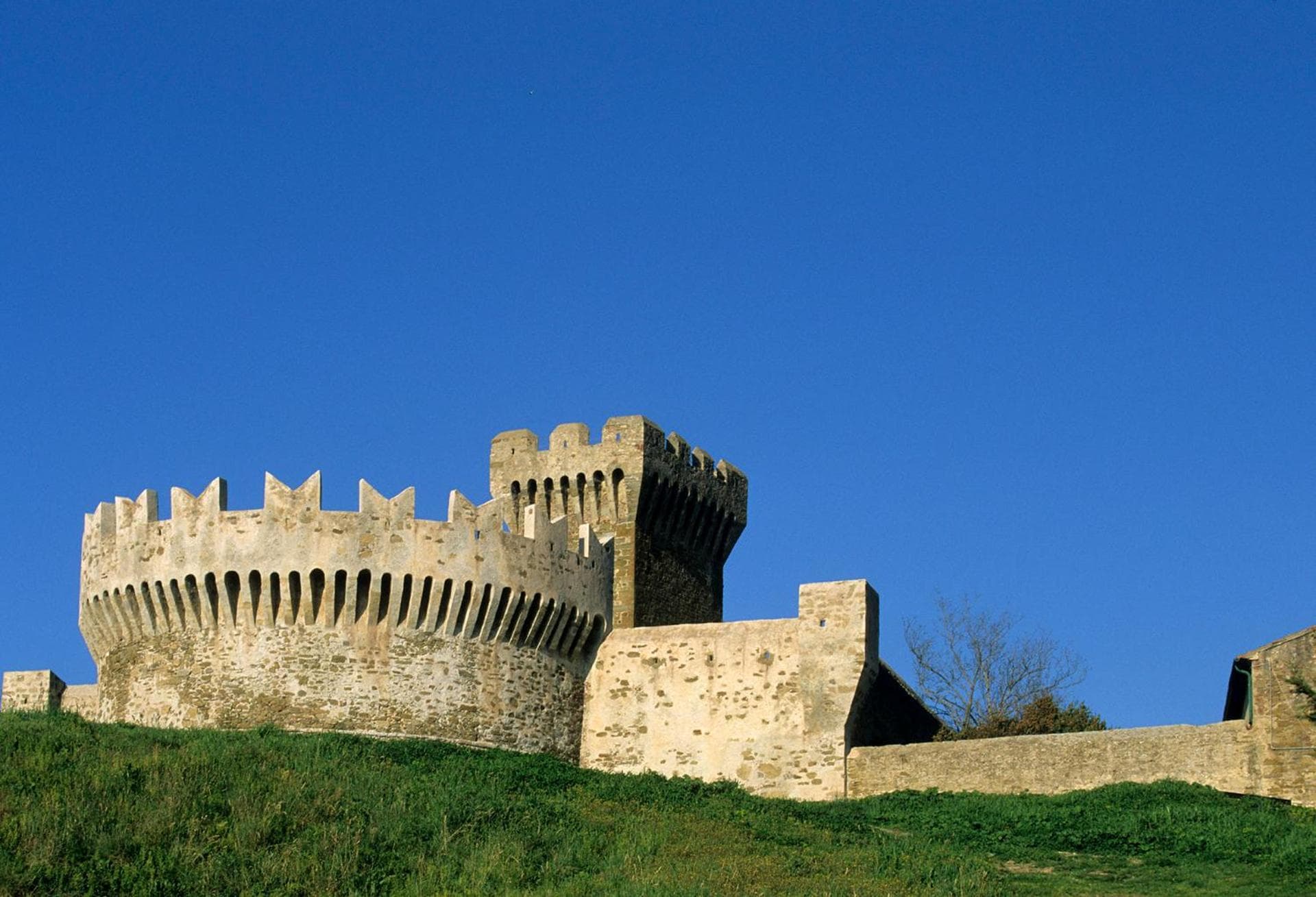 TerraVita Winery & Boutique Apartments, Suvereto, photo 4