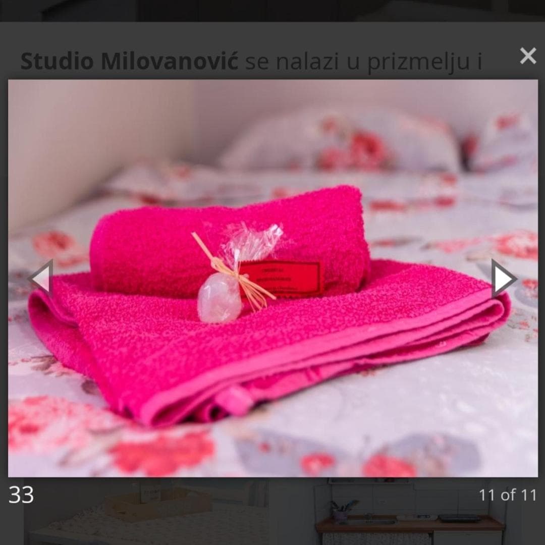 Smestaj Milovanovic, Soko Banja, photo 6