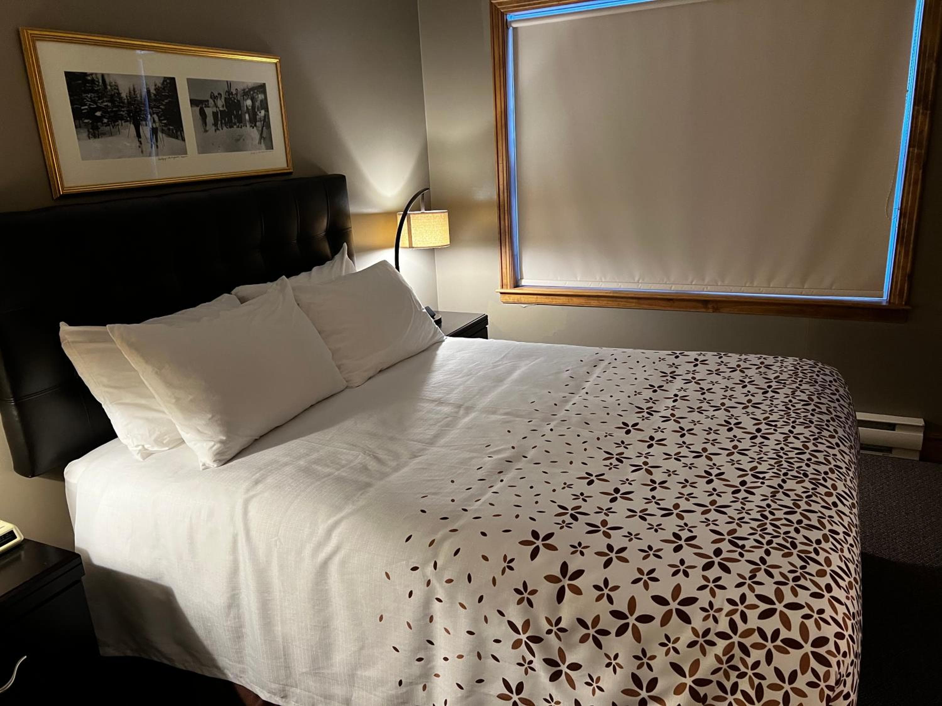 Marble Villa, Steady Brook, photo 2