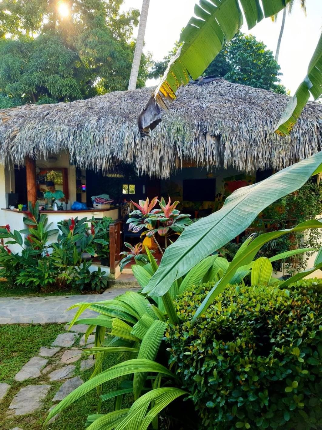 Residence Nord Est, Las Terrenas, photo 5