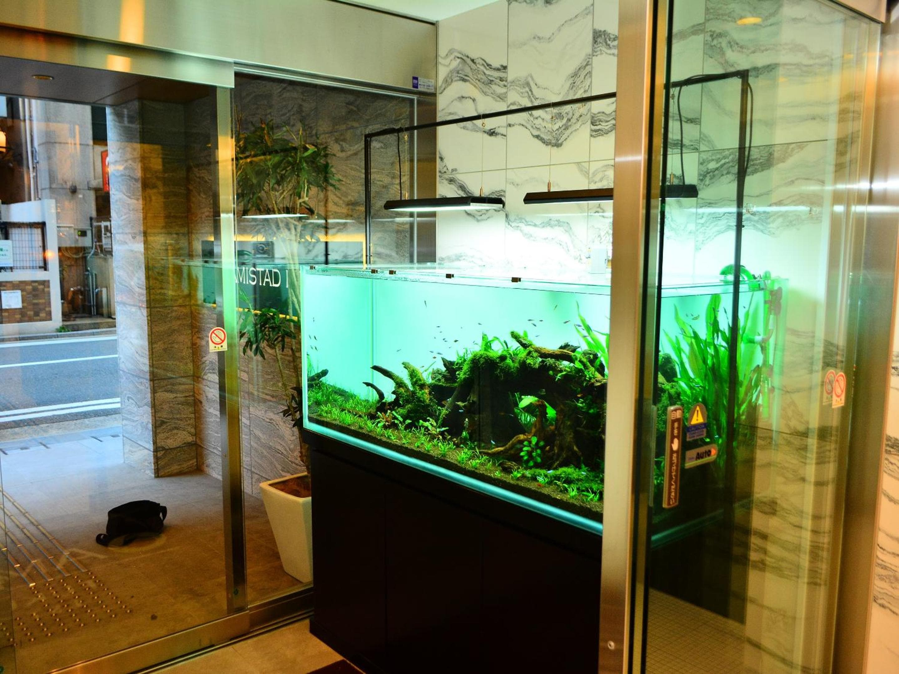 Amistad Hotel Fukuoka, Fukuoka, photo 4