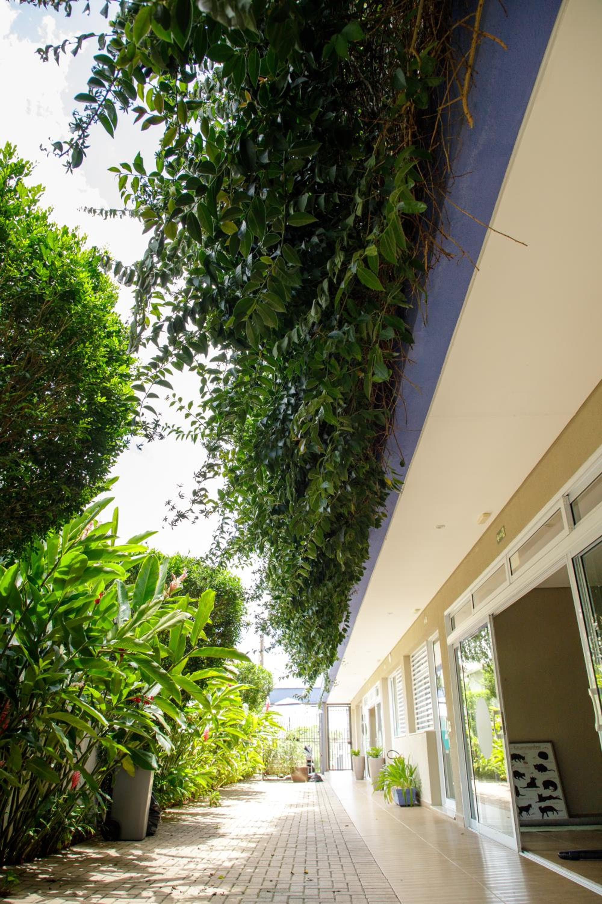 K1 RESIDENCE Campinas, Campinas, photo 6