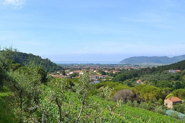 Agriturismo La Carreccia, Luni, photo 5