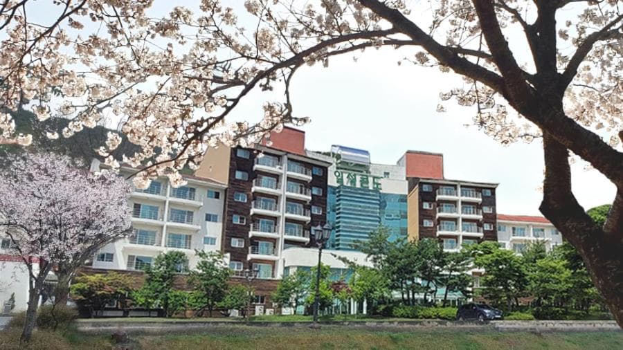 Muju Ilsung Condo, Muju